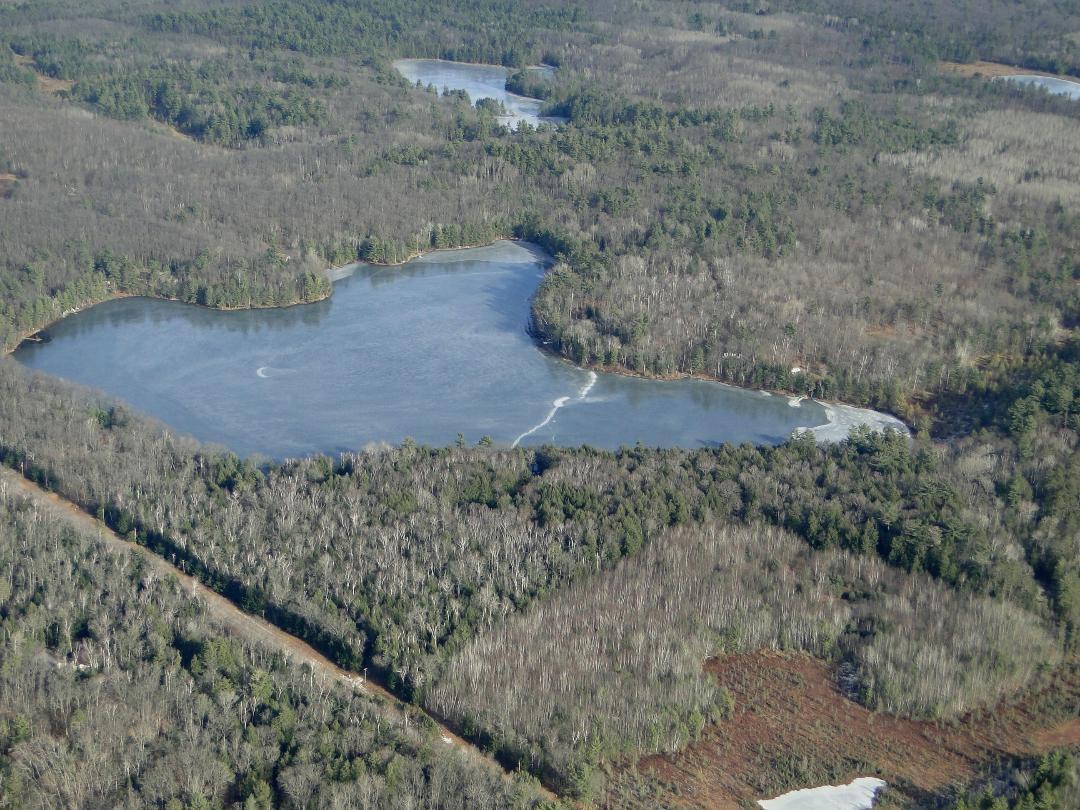 Elsie Lake Property 12605 Elsie Lake Ln Photo 39