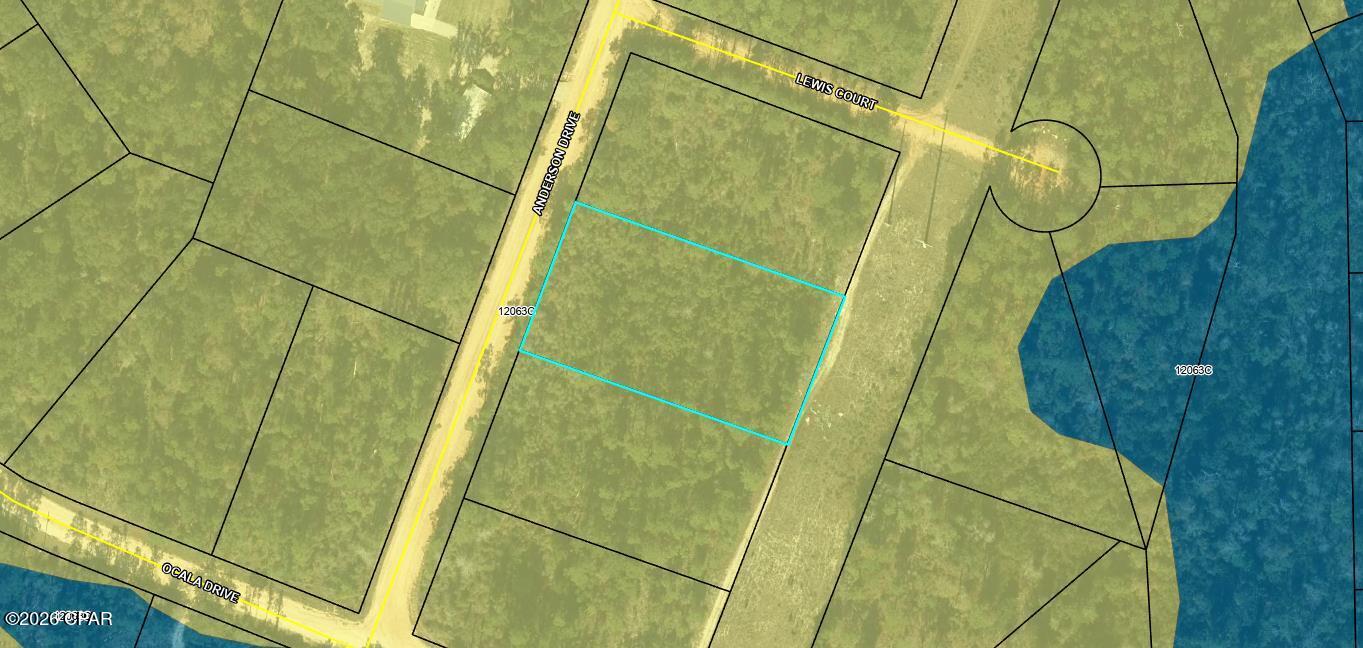 Details for 00 Anderson Drive, Alford, FL 32420