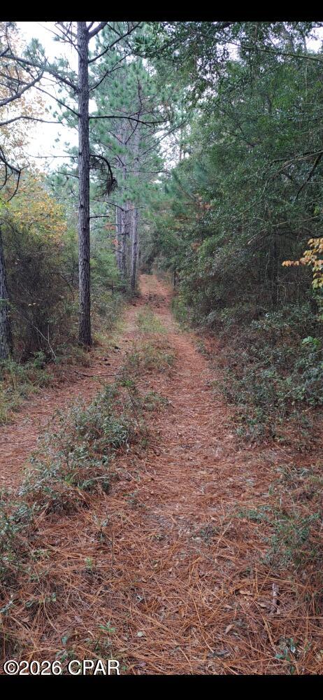 Image 3 For 00 River Road