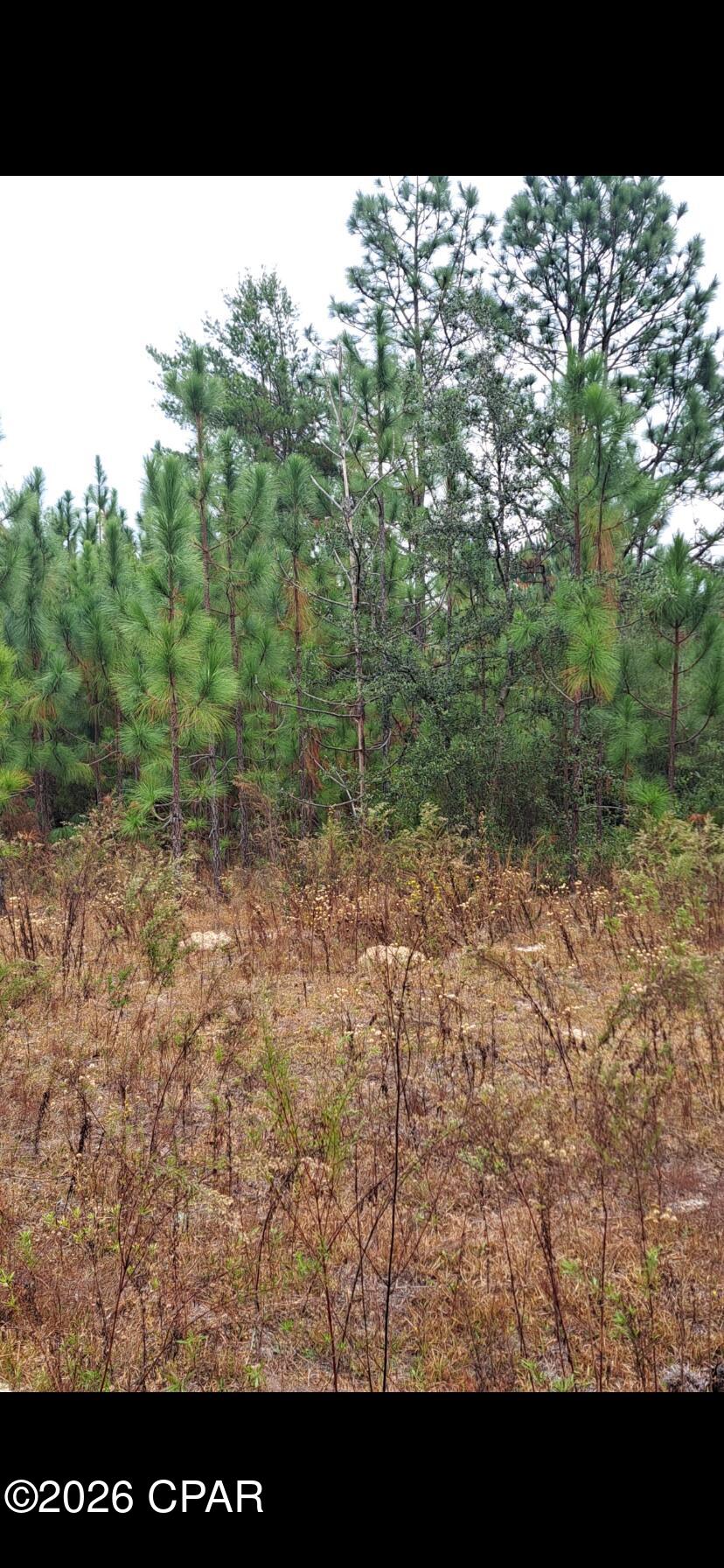 Image 4 For 00 River Road