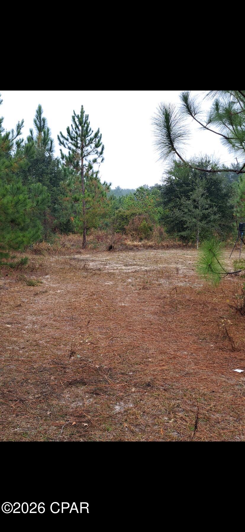 Image 5 For 00 River Road