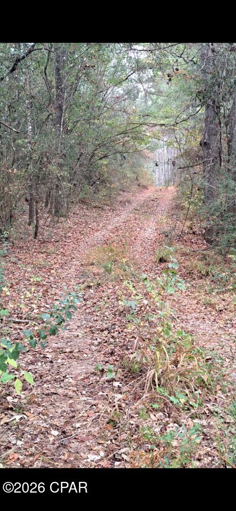 Image 6 For 00 River Road