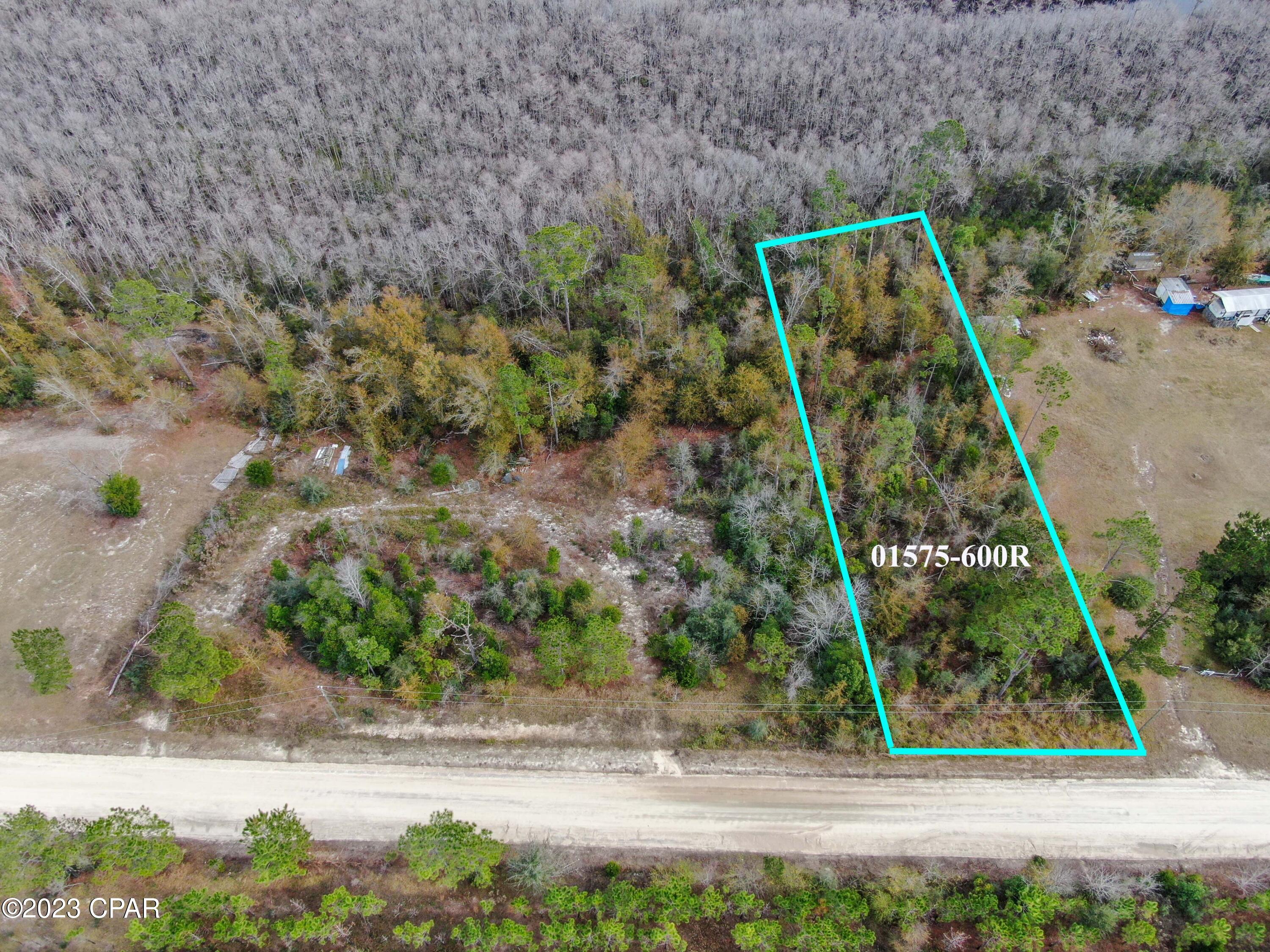 1st image of 706 Dead Lakes Dr, Wewahitchka, FL 32465 | MLS# 785071