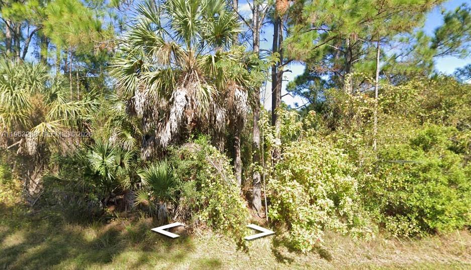 South Punta Gorda Hgts