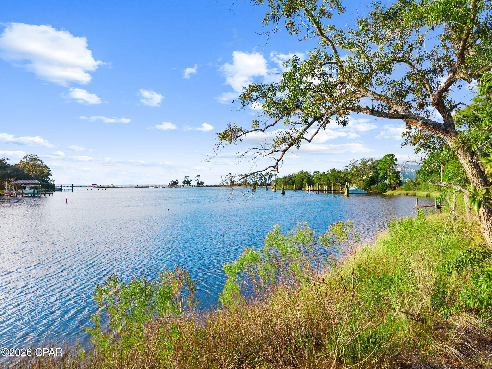 Image 50 For 2109 Calamint Street