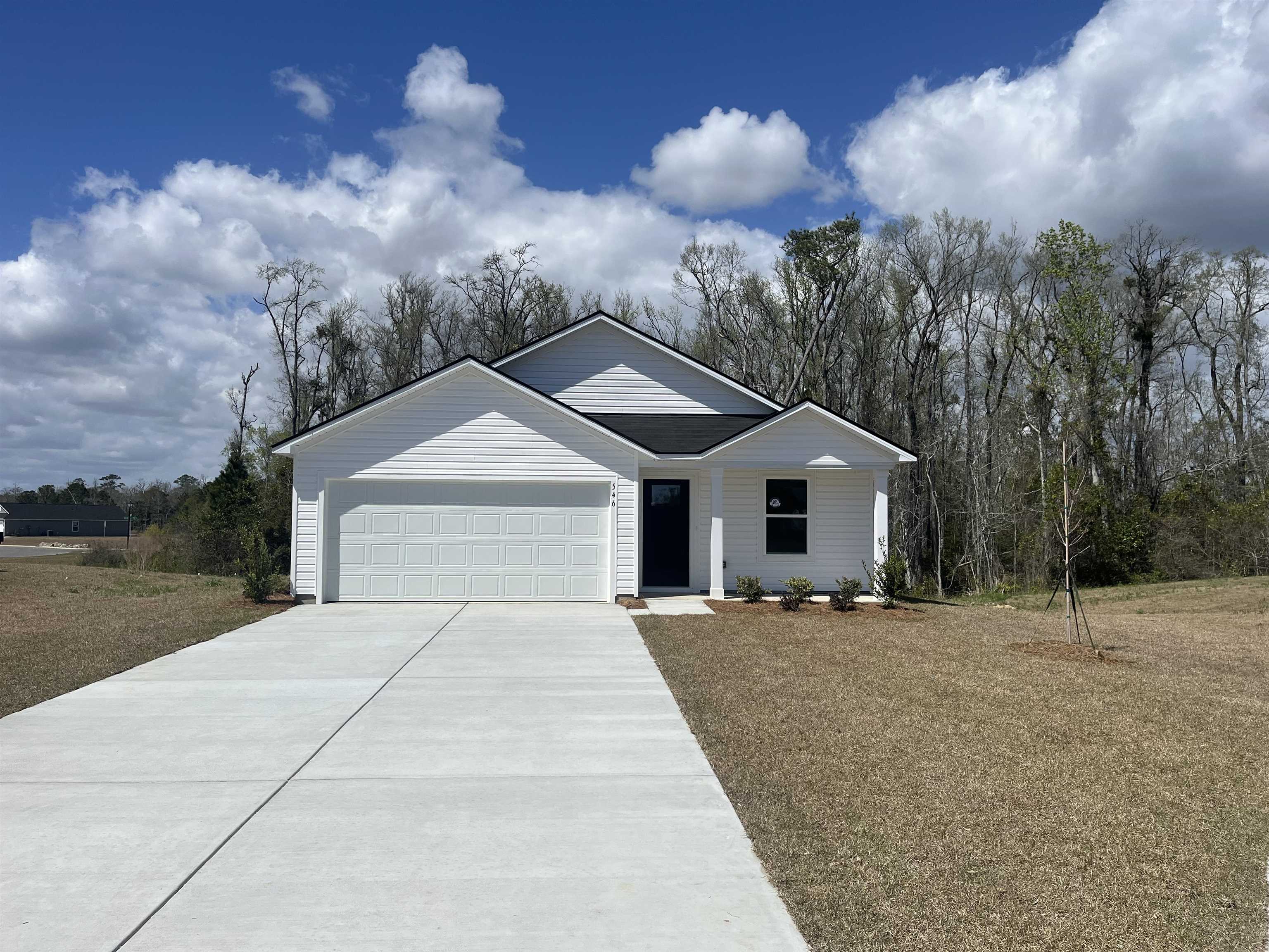 546 Swaying Palm Ct Longs, SC 29568