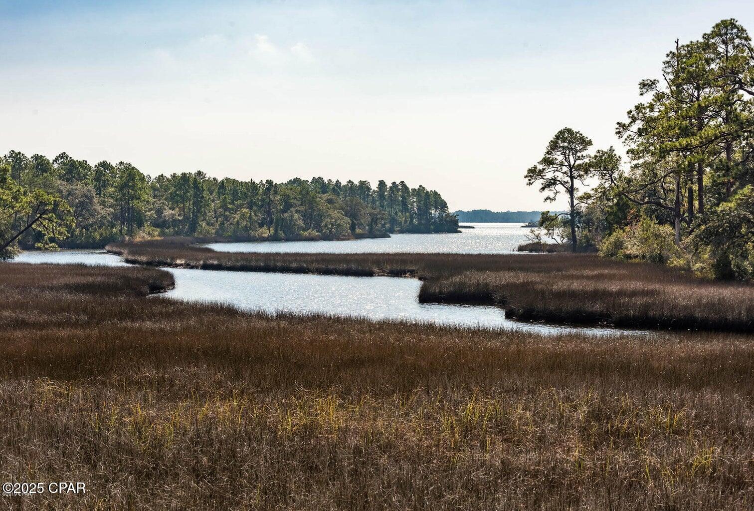 Image 50 For 149 Merrion Road