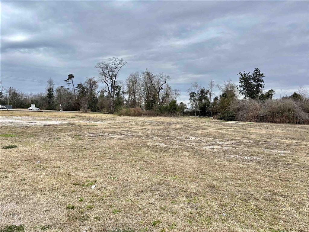 1208 & 1218 Sam Houston Jones Parkway — photo 3