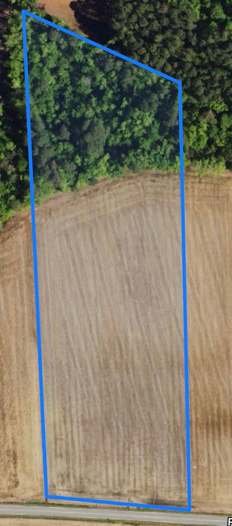 tbd Pinckney Rd. Nichols, SC 29581