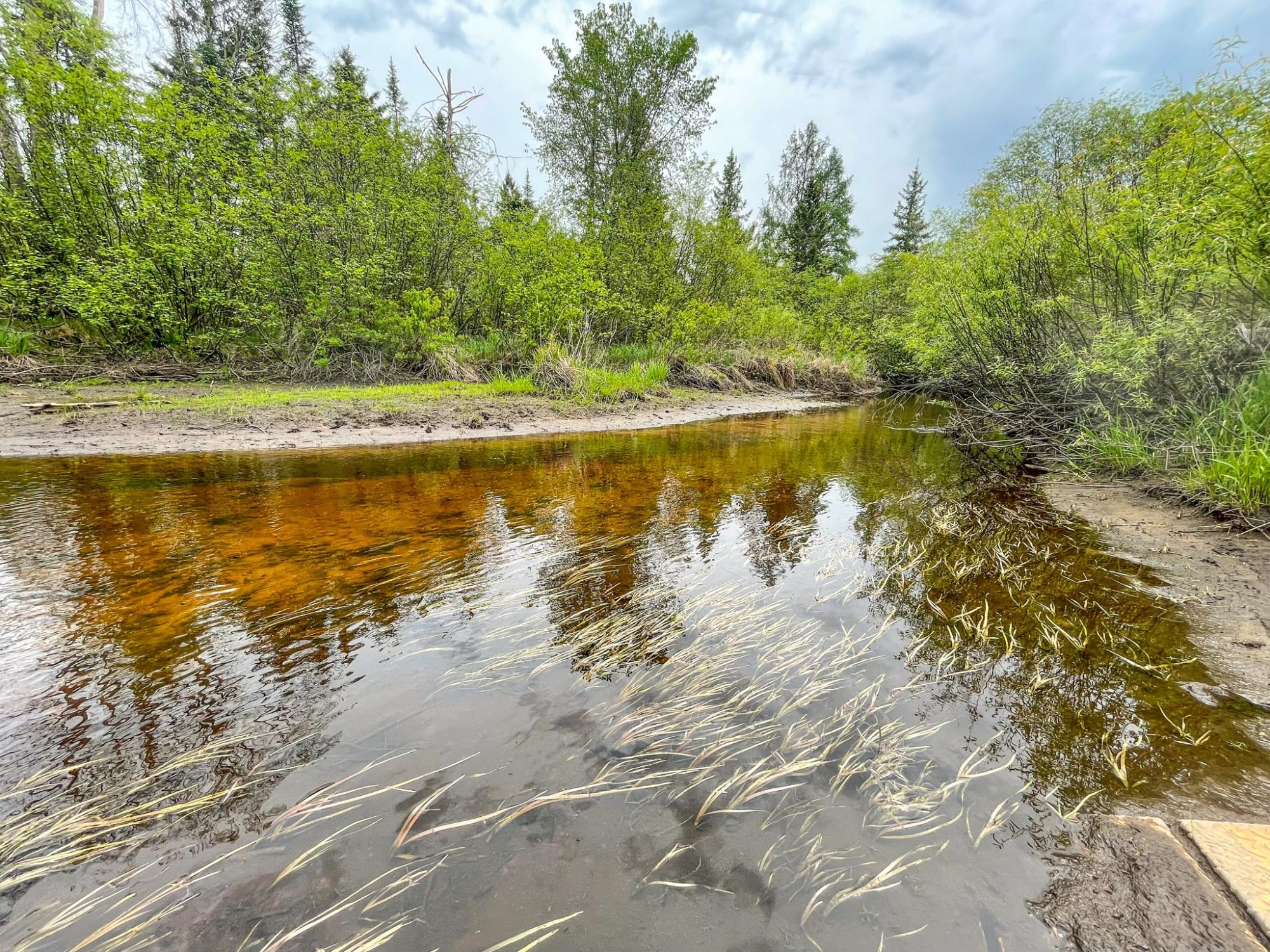 Undocumented Lake Property N10498 Sailor Lake Rd Photo 10