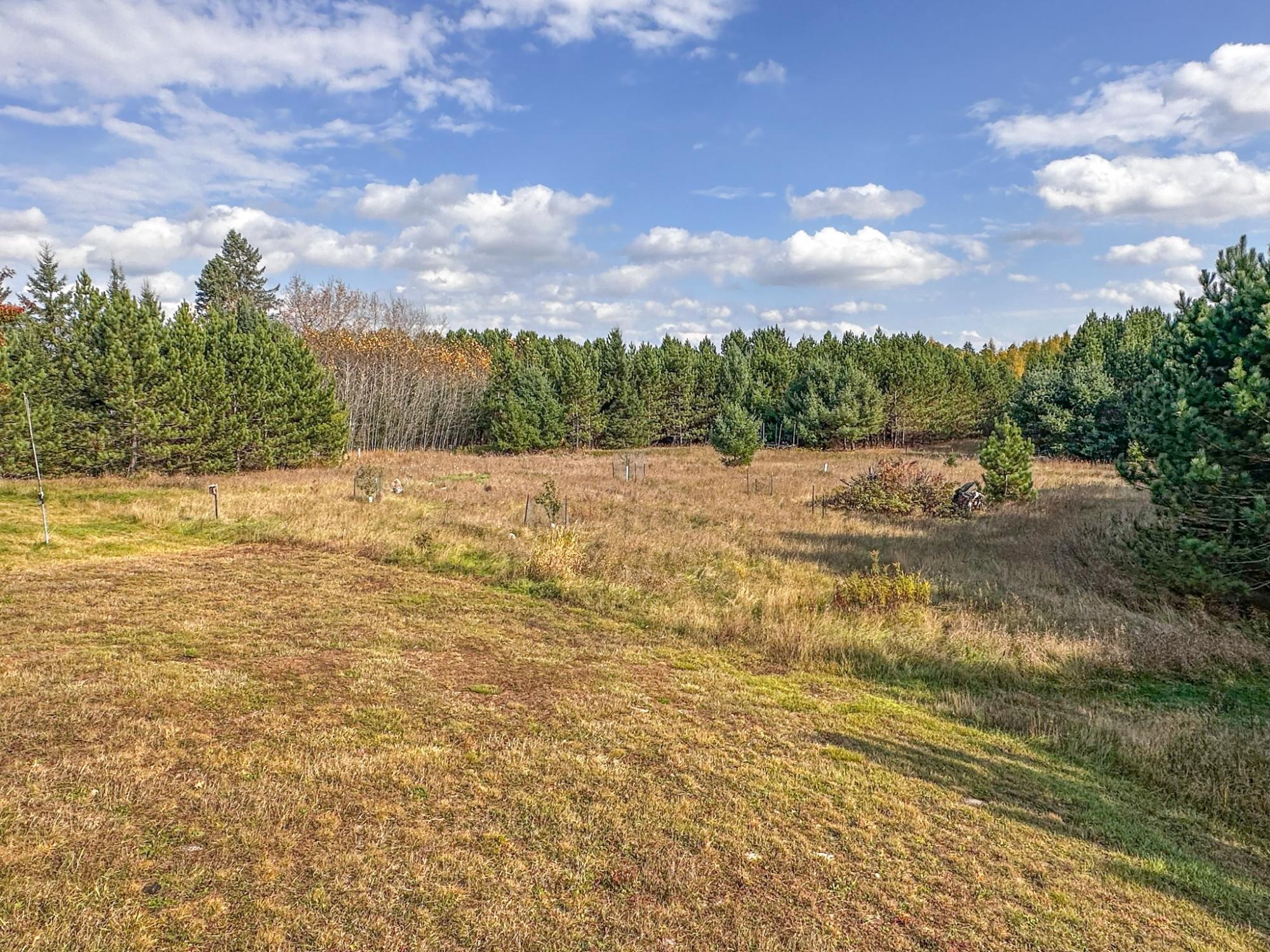 River Property Property N10498 Sailor Lake Rd Photo 6