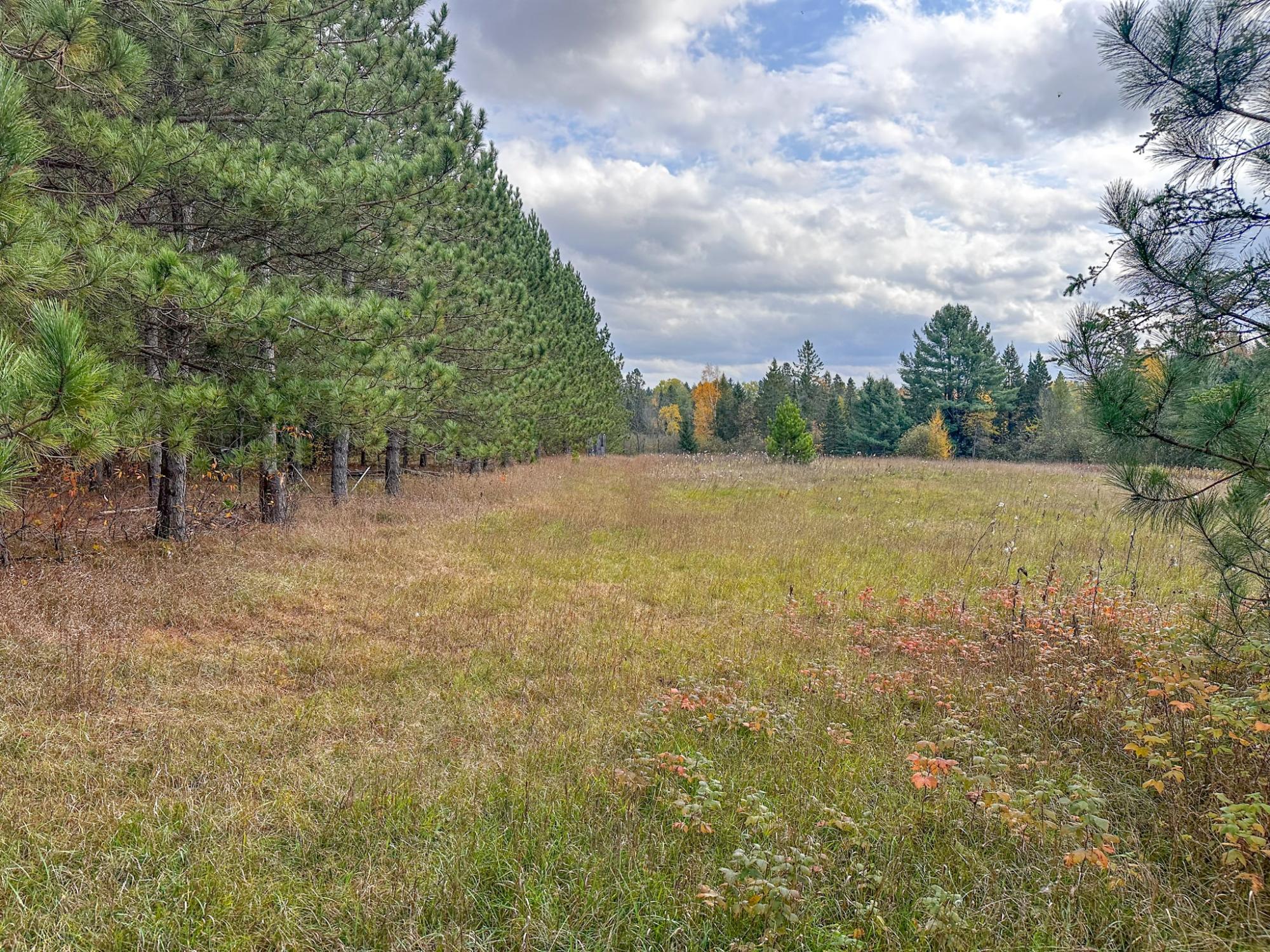 Undocumented Lake Property N10498 Sailor Lake Rd Photo 79