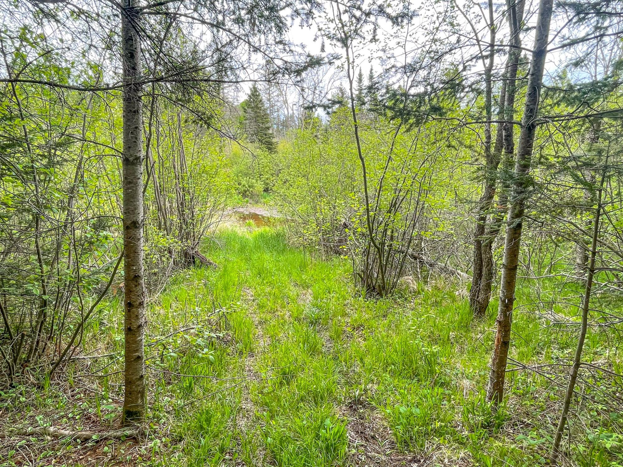 Undocumented Lake Property N10498 Sailor Lake Rd Photo 82