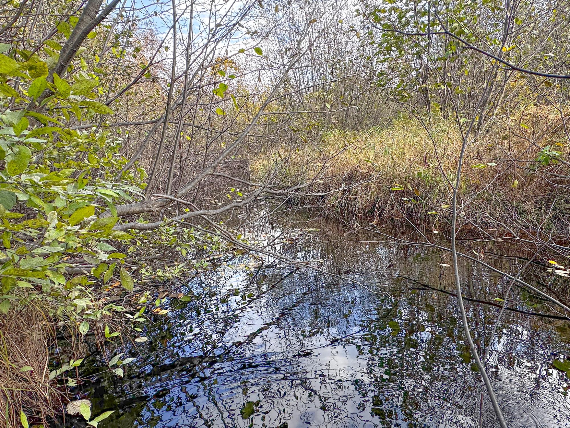 River Property Property N10498 Sailor Lake Rd Photo 86