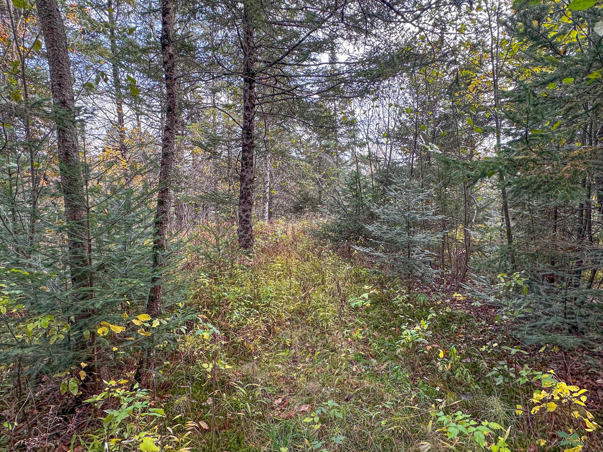 Undocumented Lake Property N10498 Sailor Lake Rd Photo 88