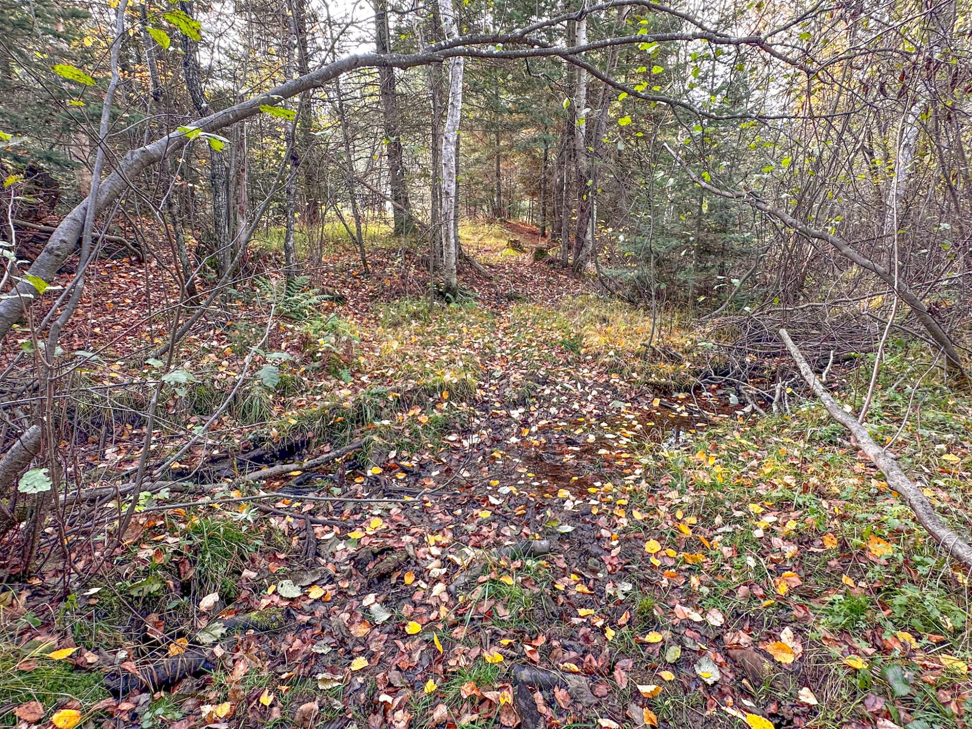 River Property Property N10498 Sailor Lake Rd Photo 89