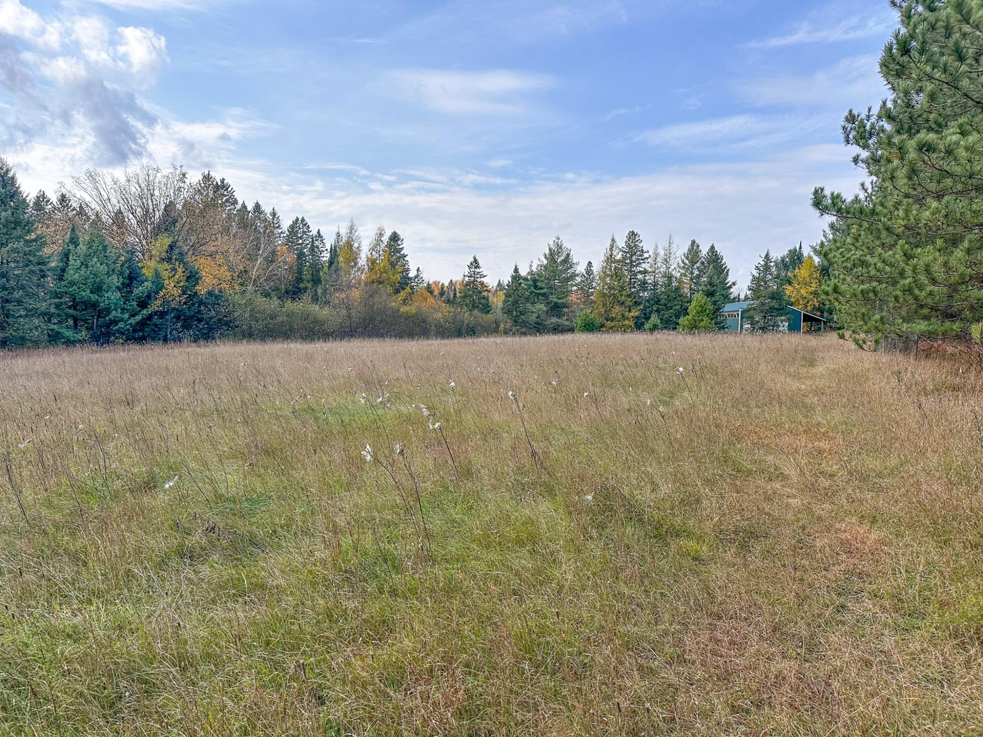 River Property Property N10498 Sailor Lake Rd Photo 9