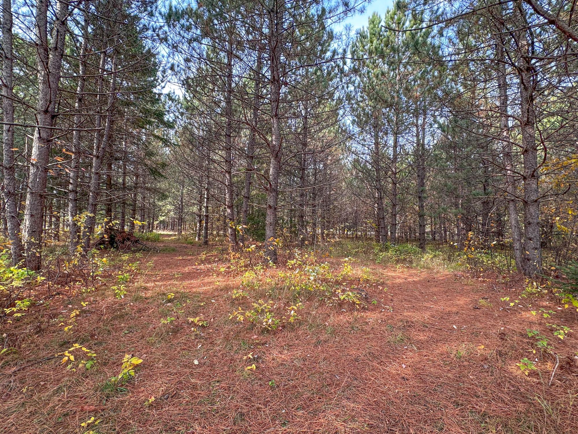 Undocumented Lake Property N10498 Sailor Lake Rd Photo 91