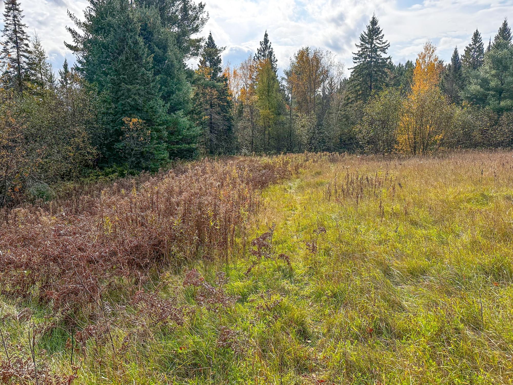 Undocumented Lake Property N10498 Sailor Lake Rd Photo 92