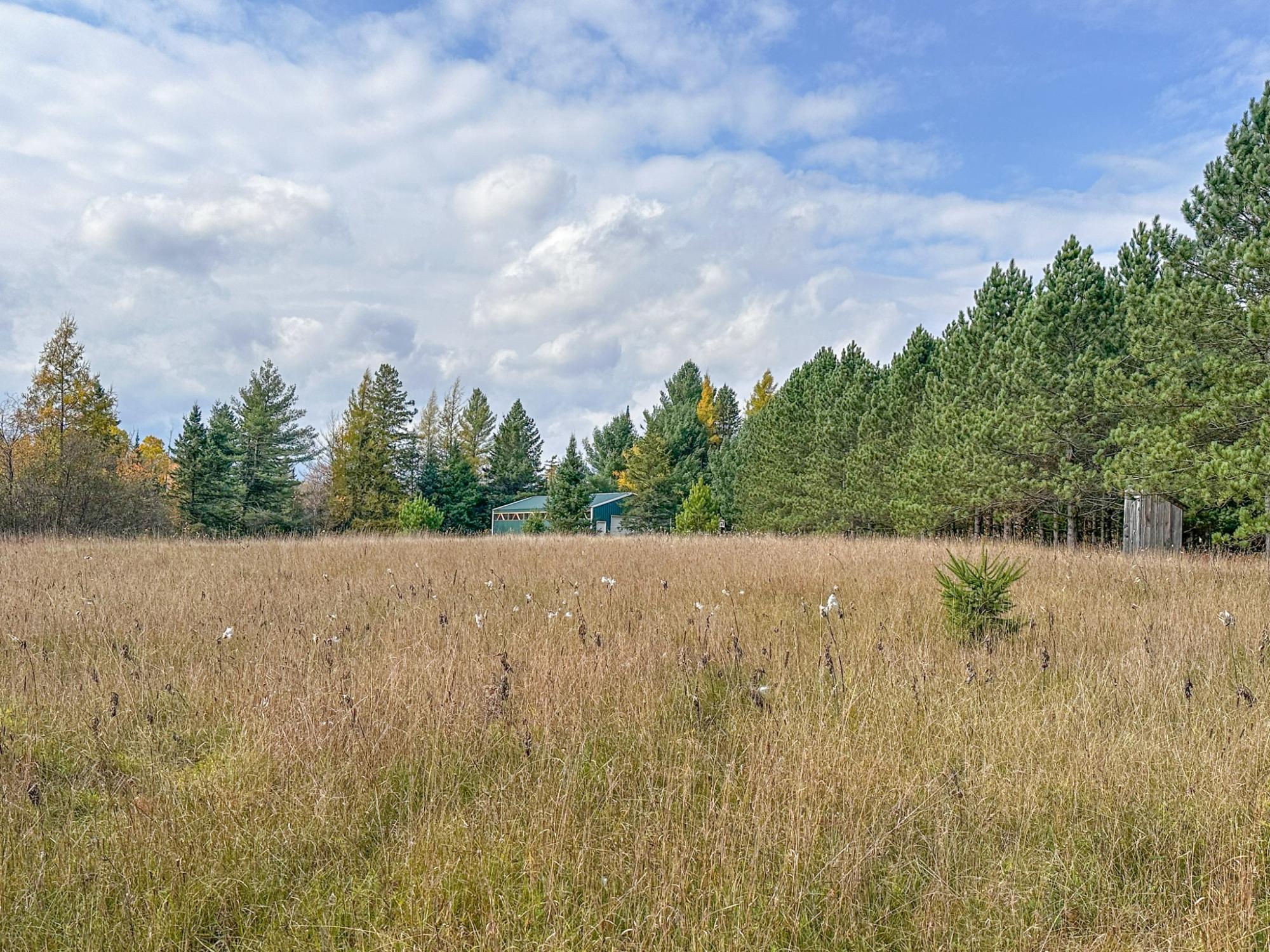 River Property Property N10498 Sailor Lake Rd Photo 93