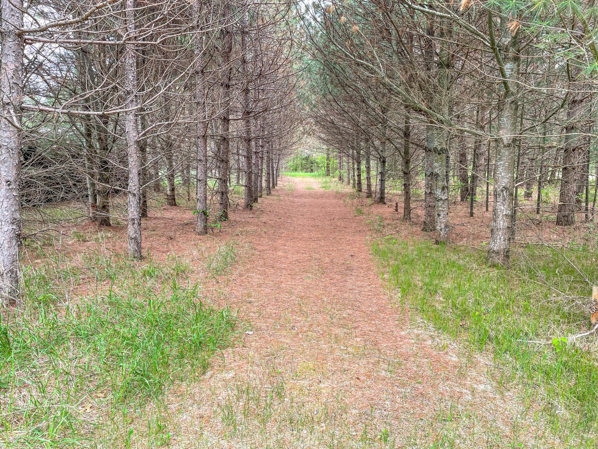 River Property Property N10498 Sailor Lake Rd Photo 95