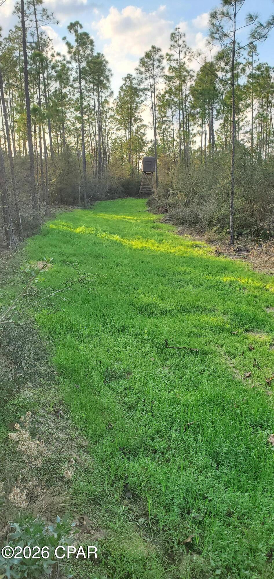 Details for 00 Elkcam Boulevard, Southport, FL 32409