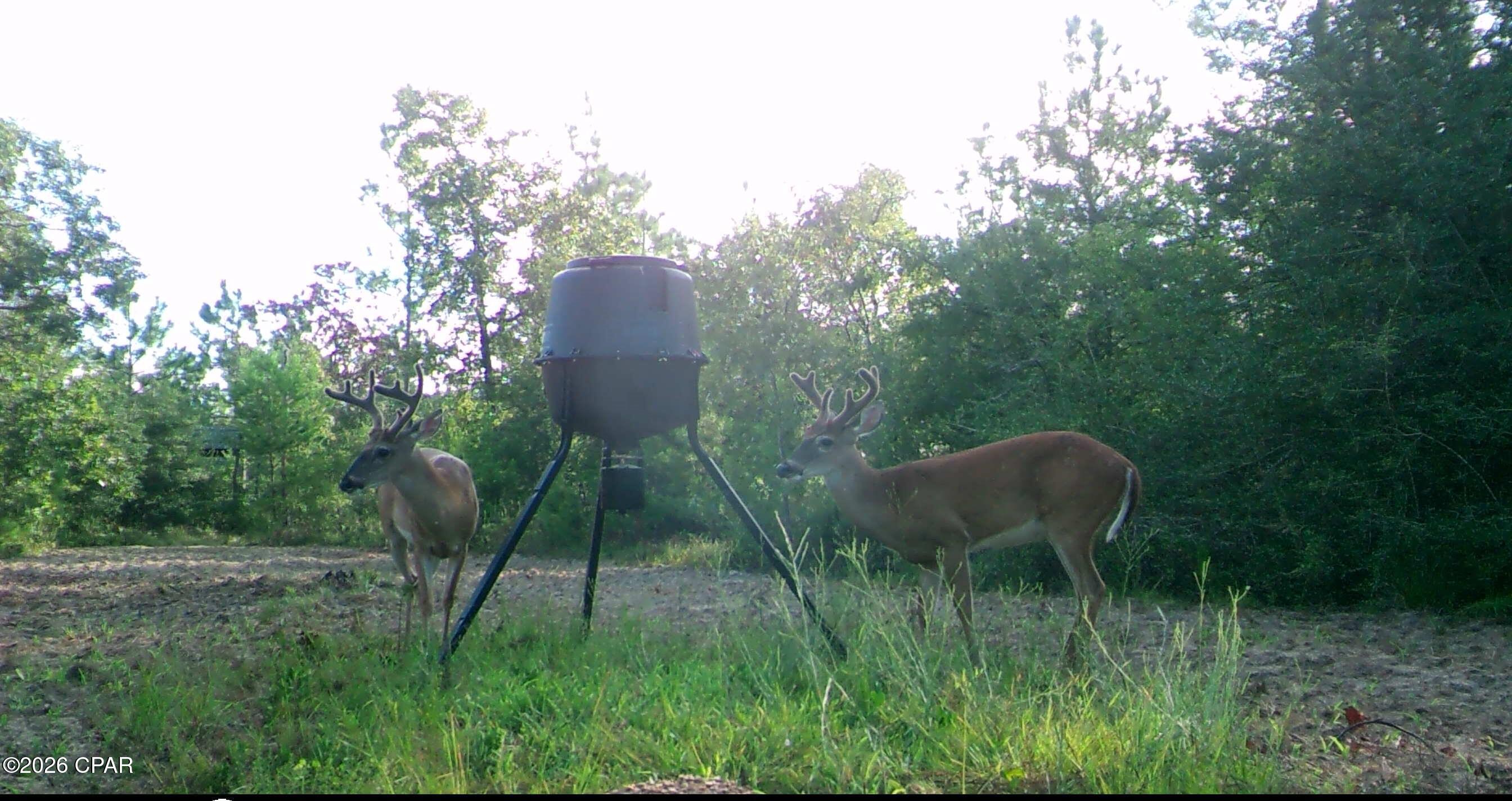 Listing photo id 6 for 00 Elkcam Boulevard