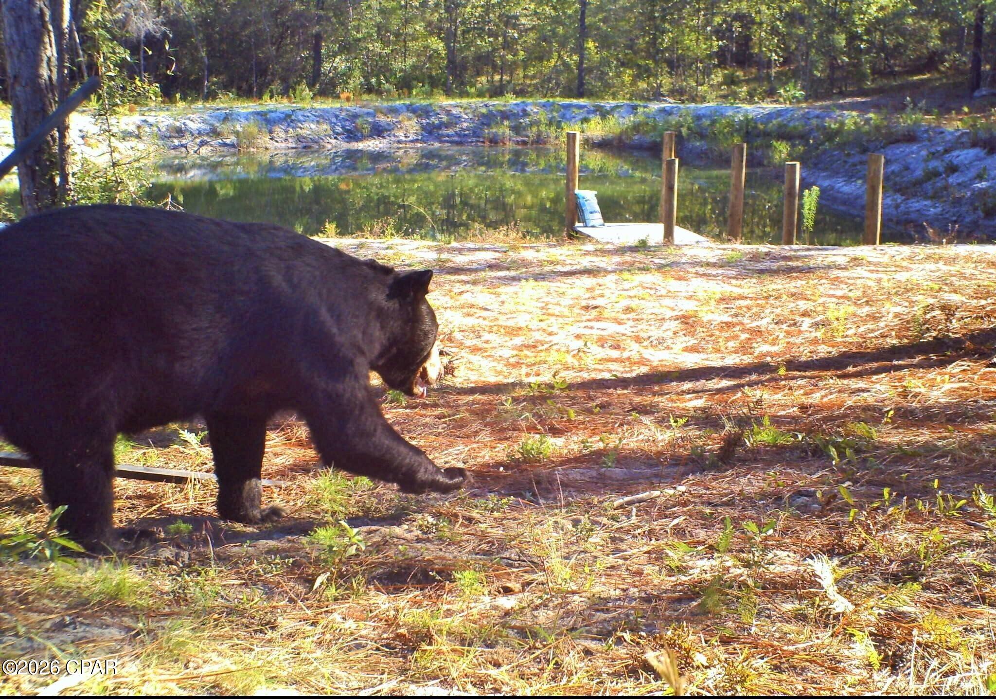 Listing photo id 7 for 00 Elkcam Boulevard