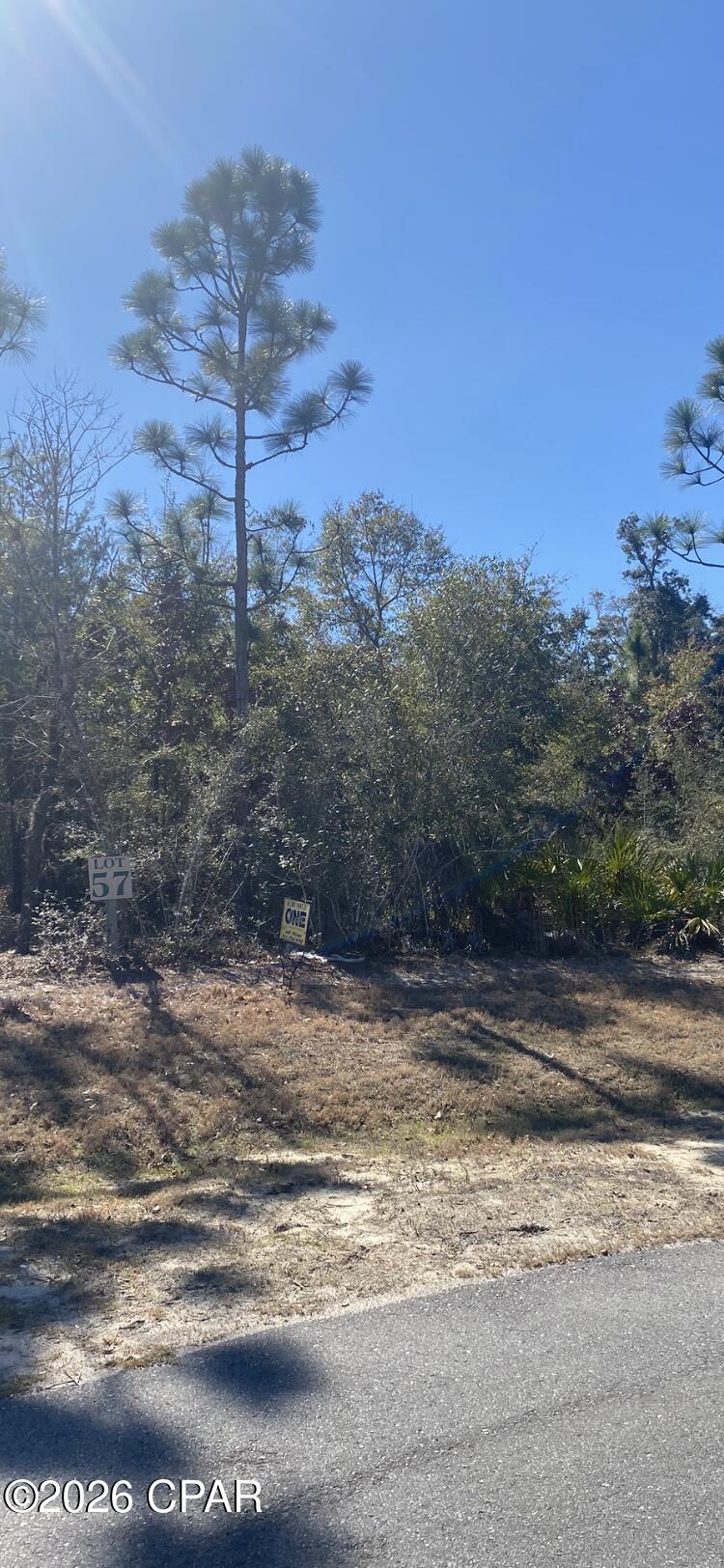 Image 8 For 4520 Silkwater Lane