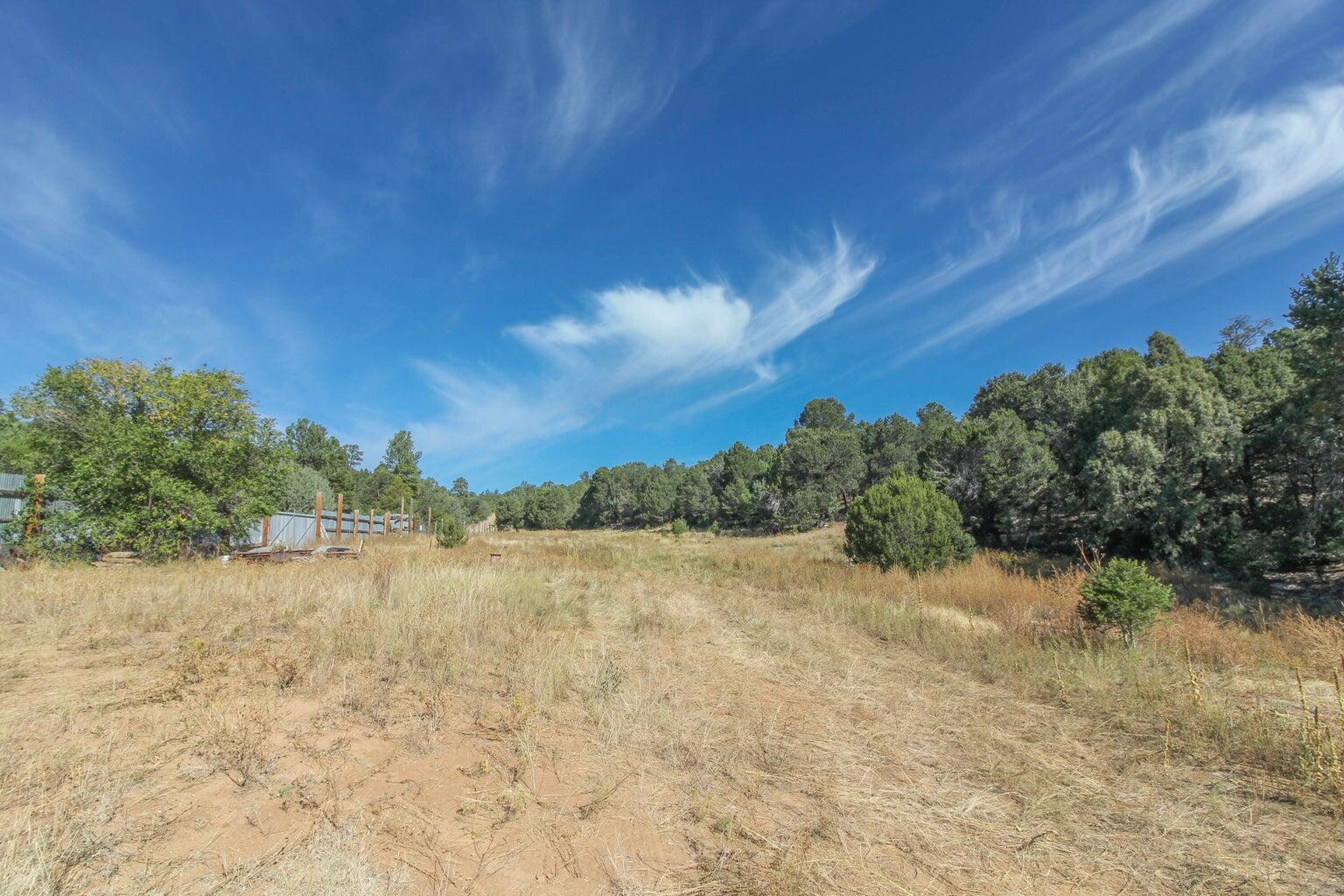 Photo 3 — 12 Ballenger Ranch Road