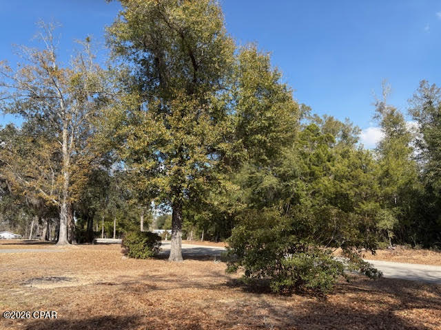 Image 11 For 24798 County Road 73a