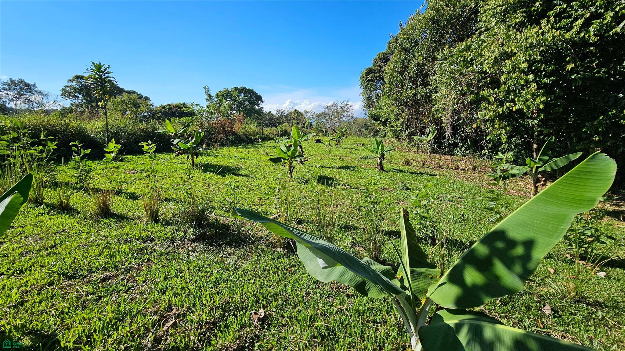  bed Land For Sale in El General, San Jose - 1
