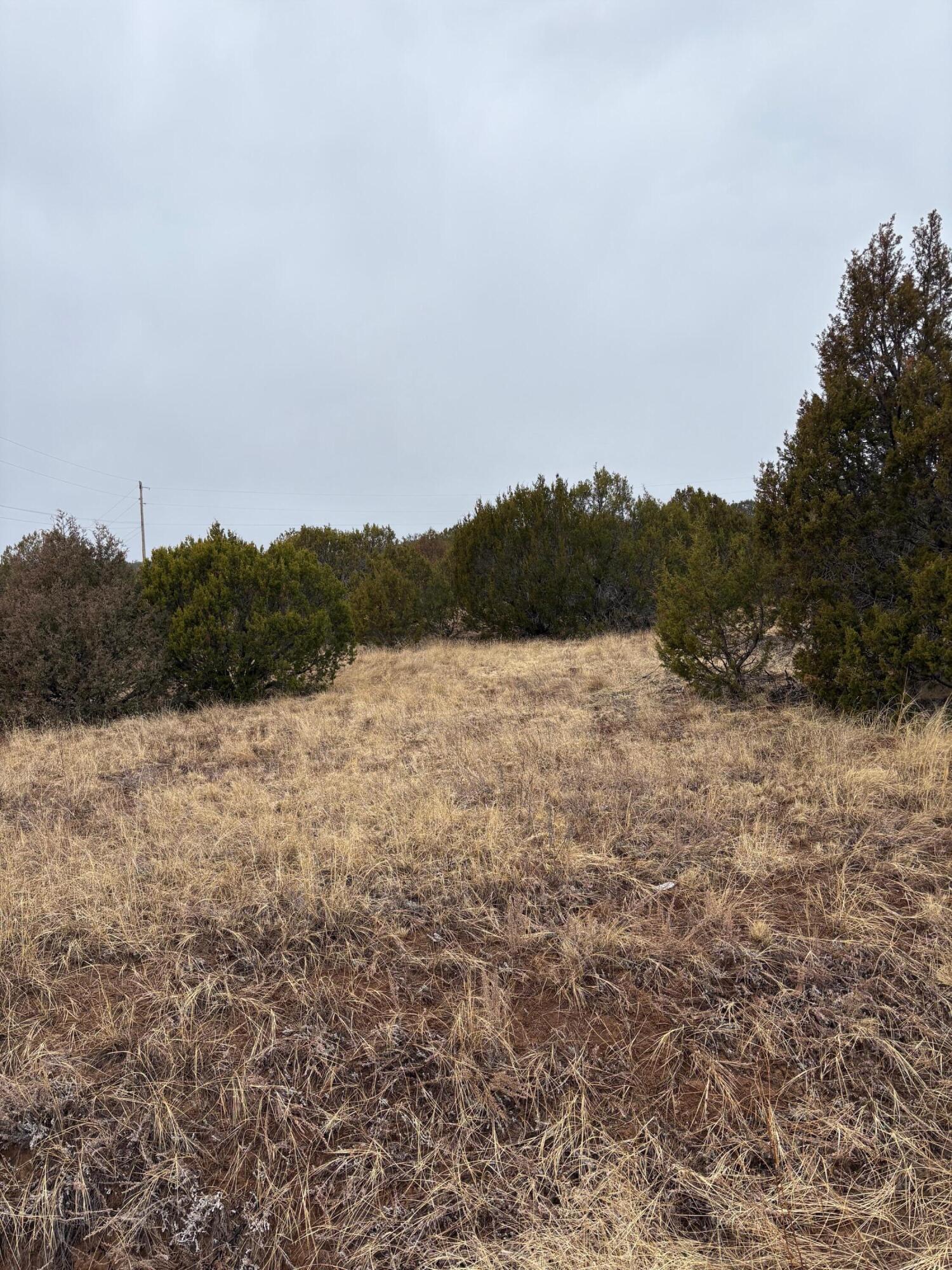 90 Jesse James Road Edgewood, NM 87015