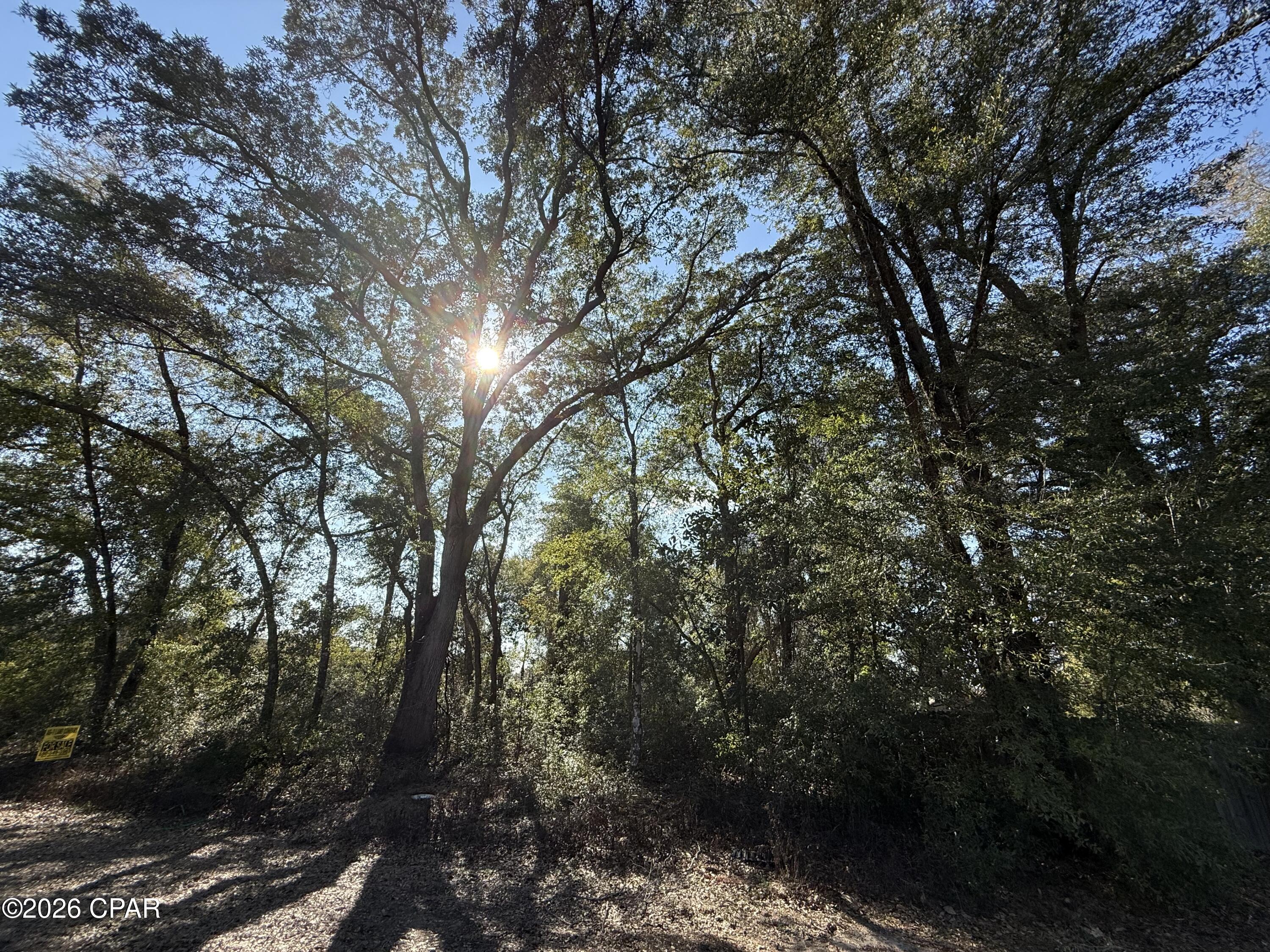 Details for 0001 Appalachee Trail, Marianna, FL 32446