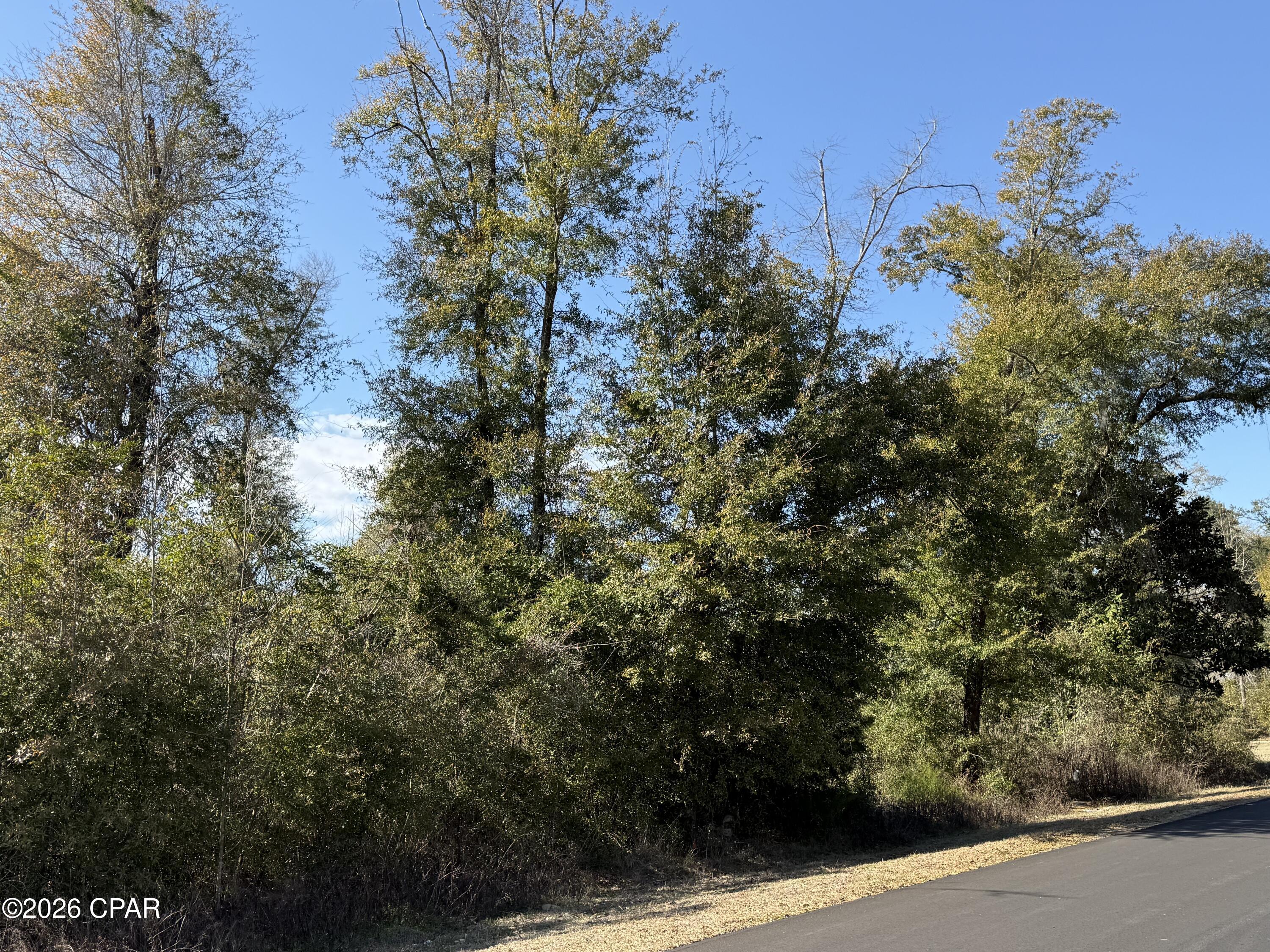 Details for 0003 Appalachee Trail, Marianna, FL 32446