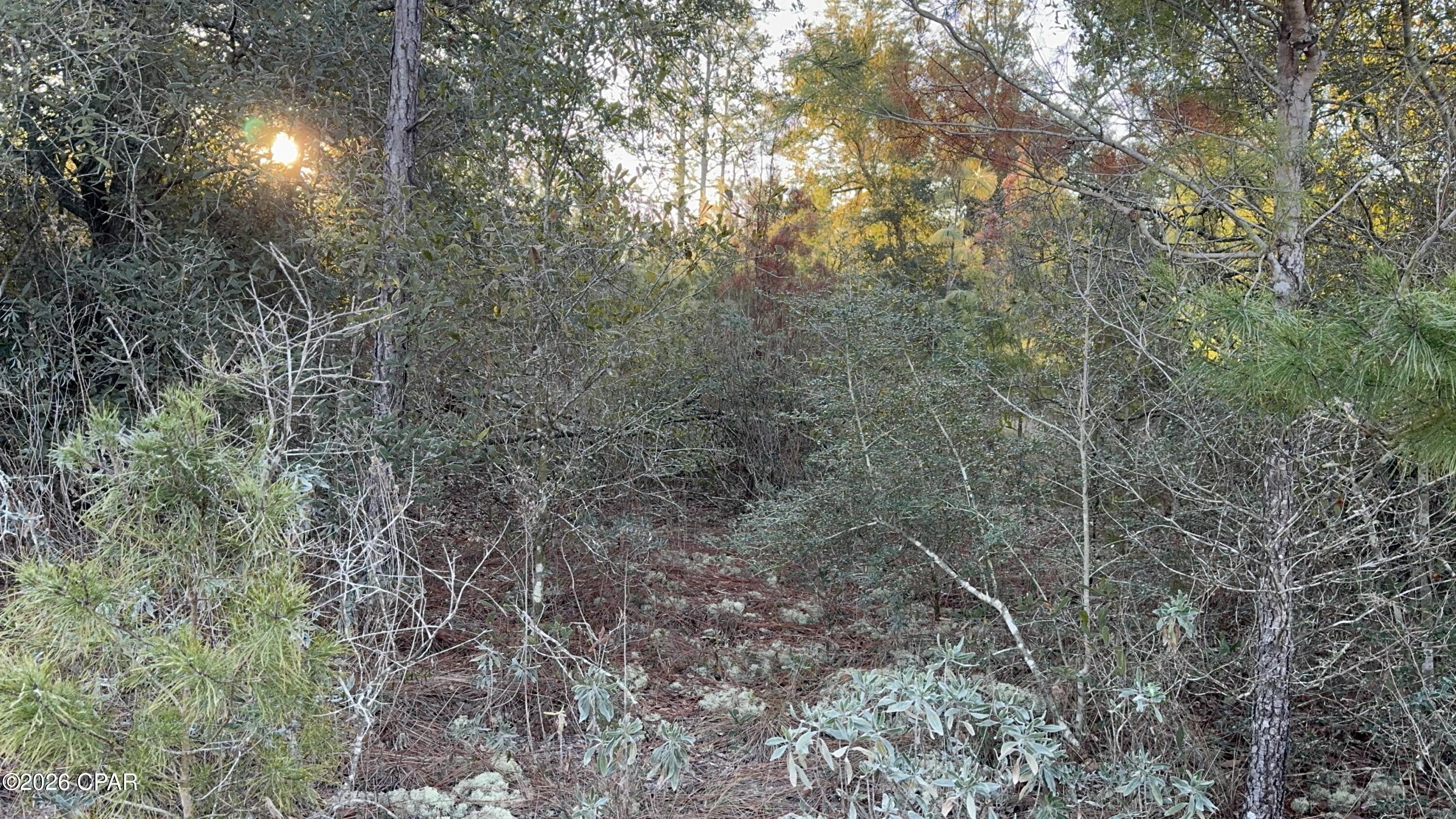 Details for Lot 3 Shenandoah Boulevard, Chipley, FL 32428