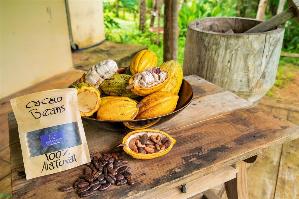 7 bed Single Family Homes For Sale in Parrita, Puntarenas - 1