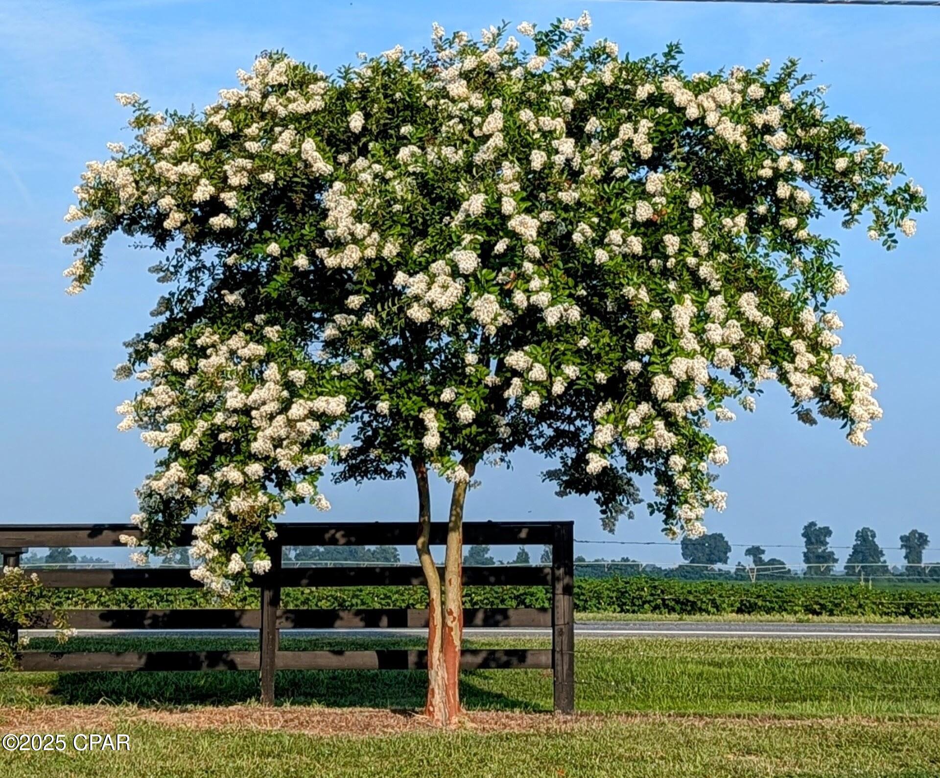 Image 13 For 5223-a Palamino Lane