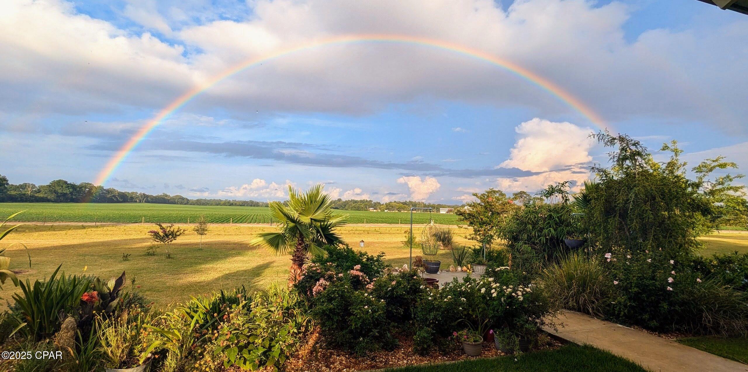 Image 4 For 5223-a Palamino Lane