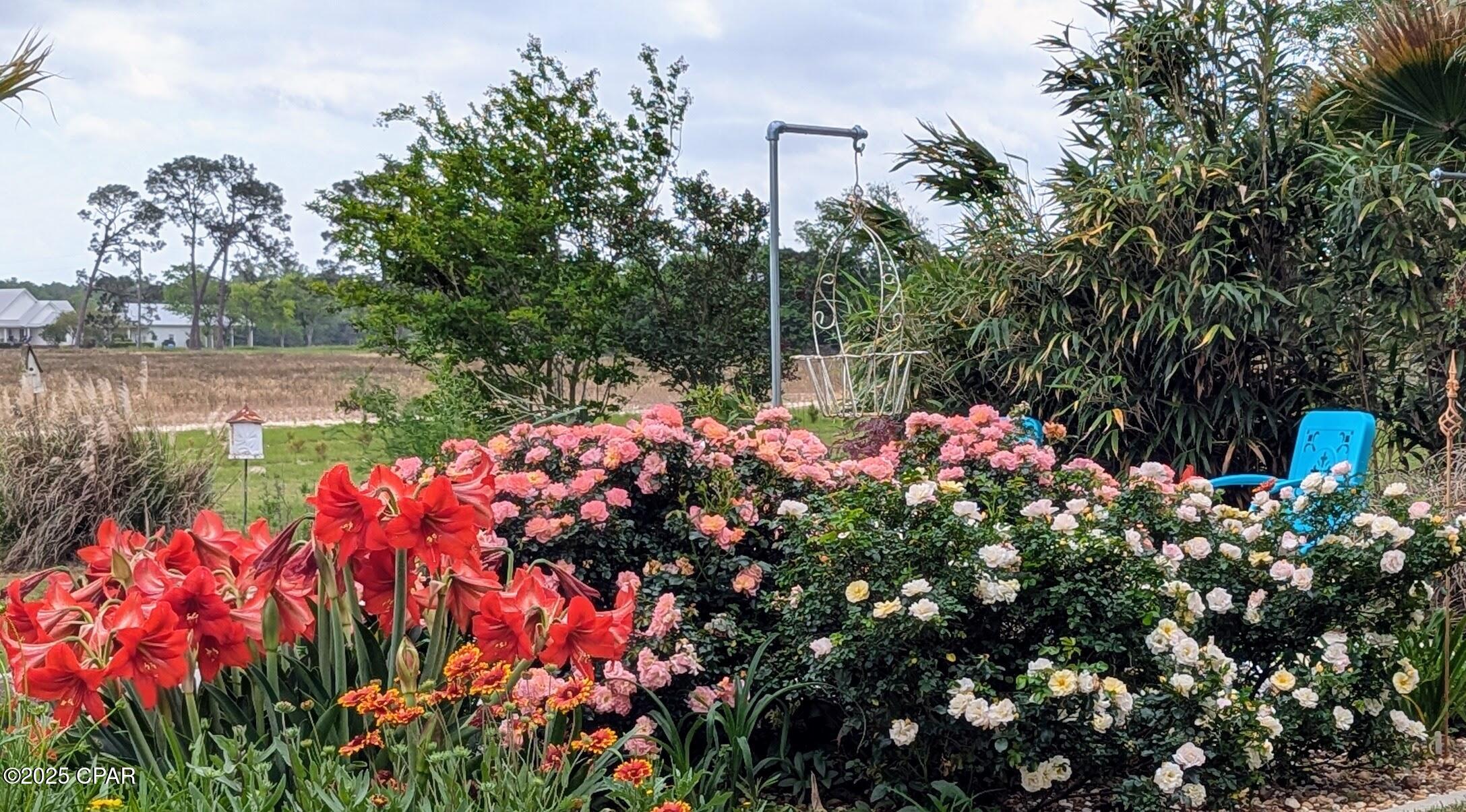 Image 45 For 5223-a Palamino Lane