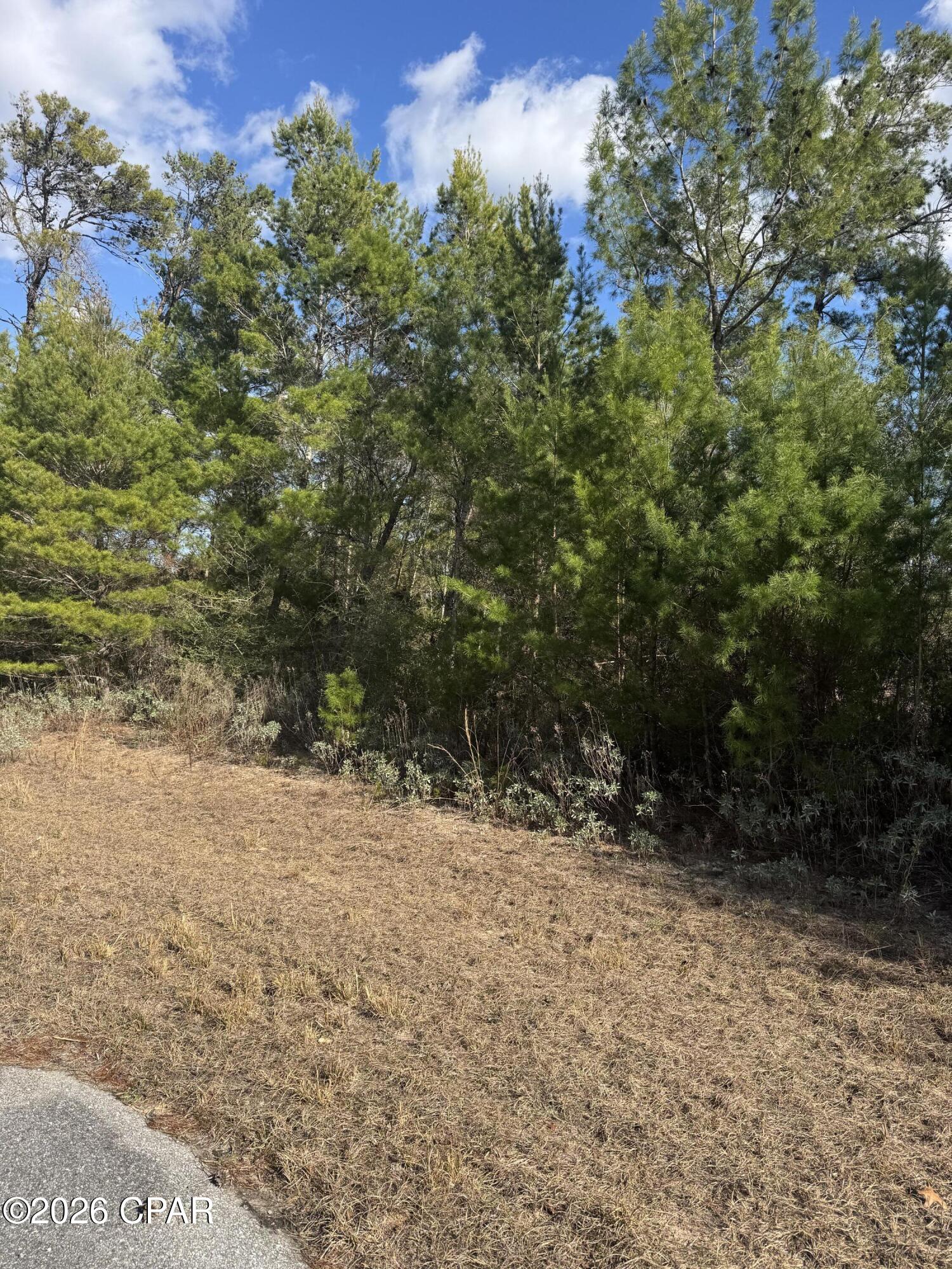 Details for 0000 Jamaica Circle, Chipley, FL 32428