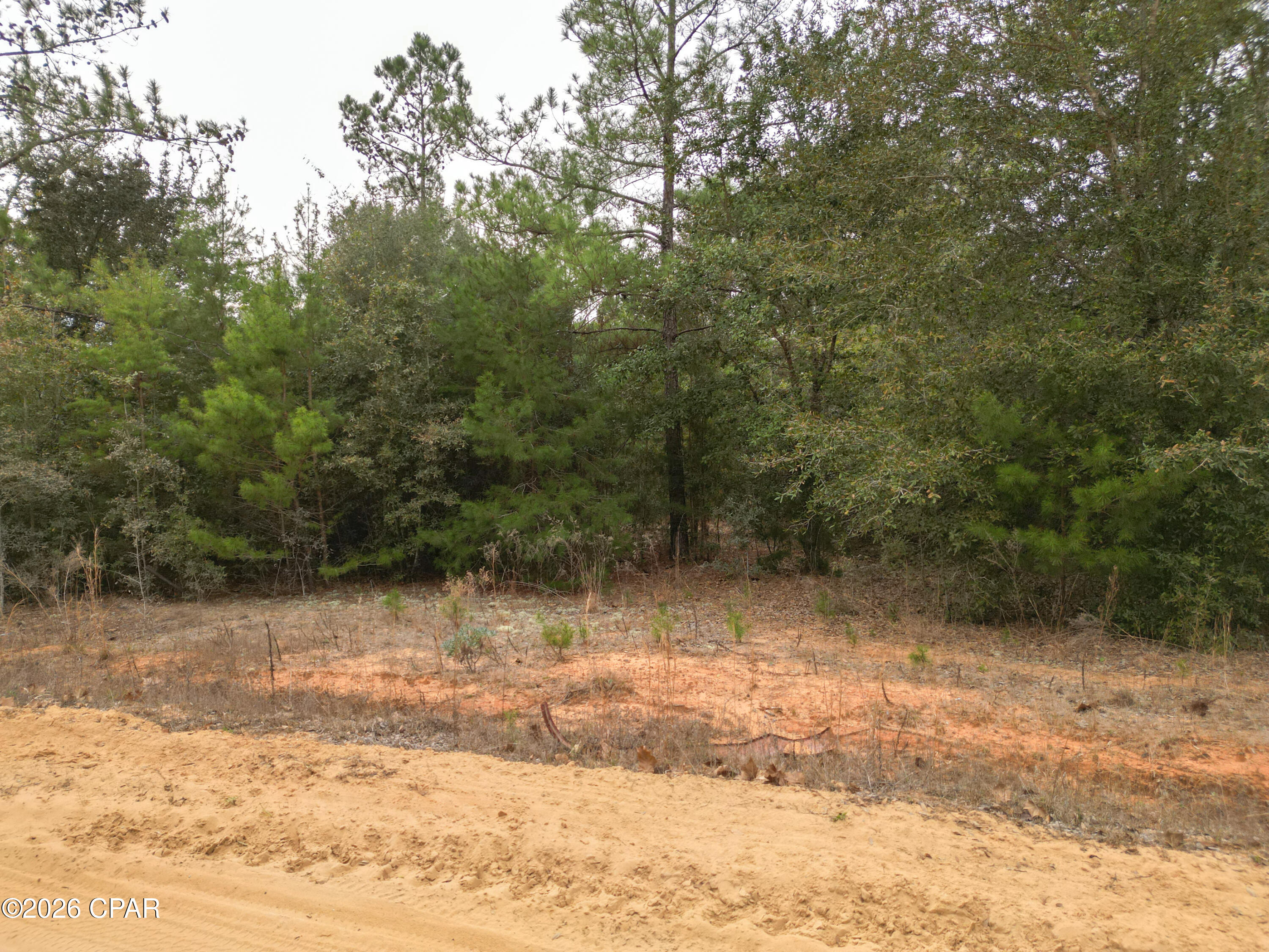 Image 13 For Lot 22 Mcpherson Drive