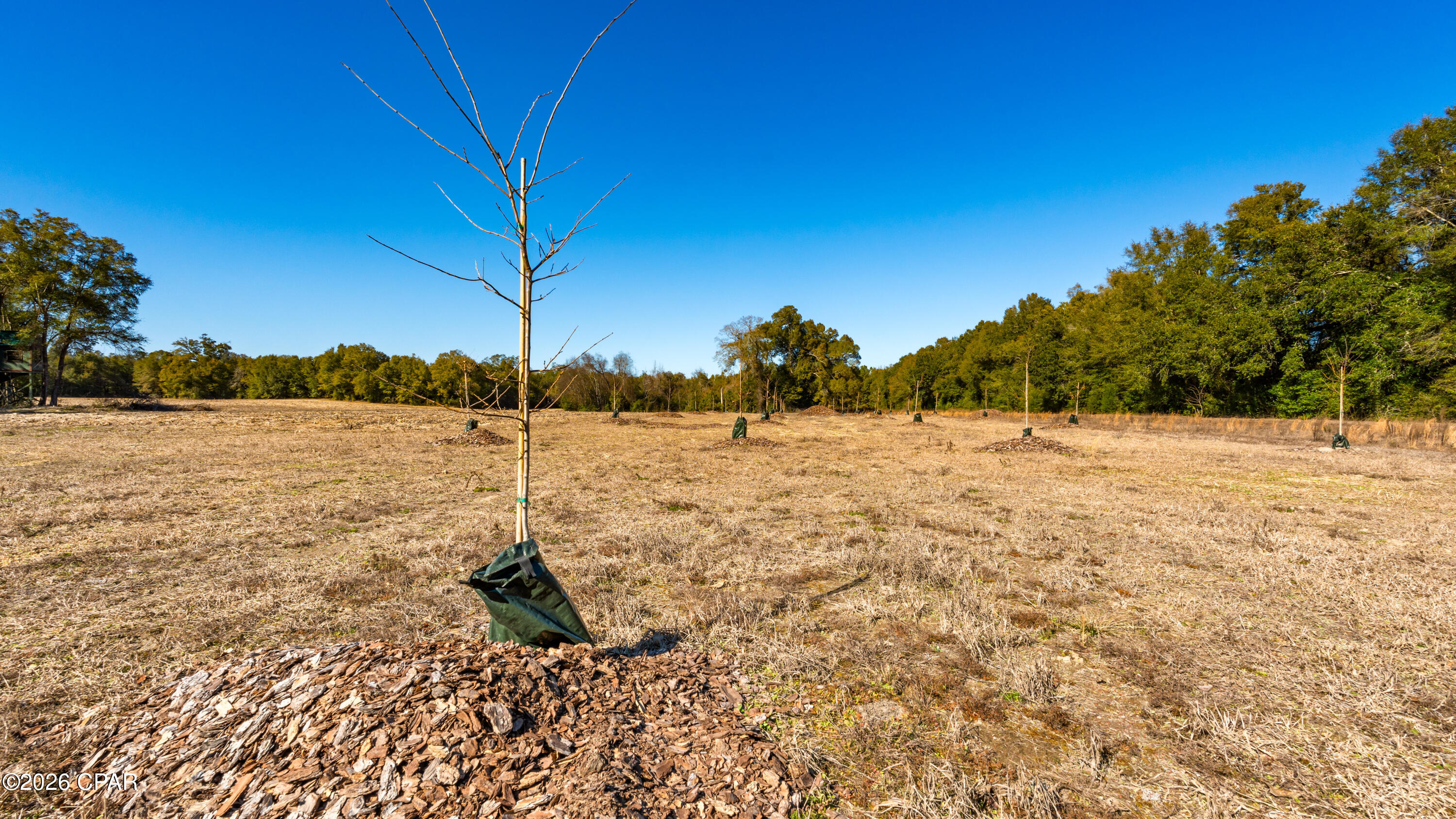 Image 11 For 00 Sylvania Plantation Road