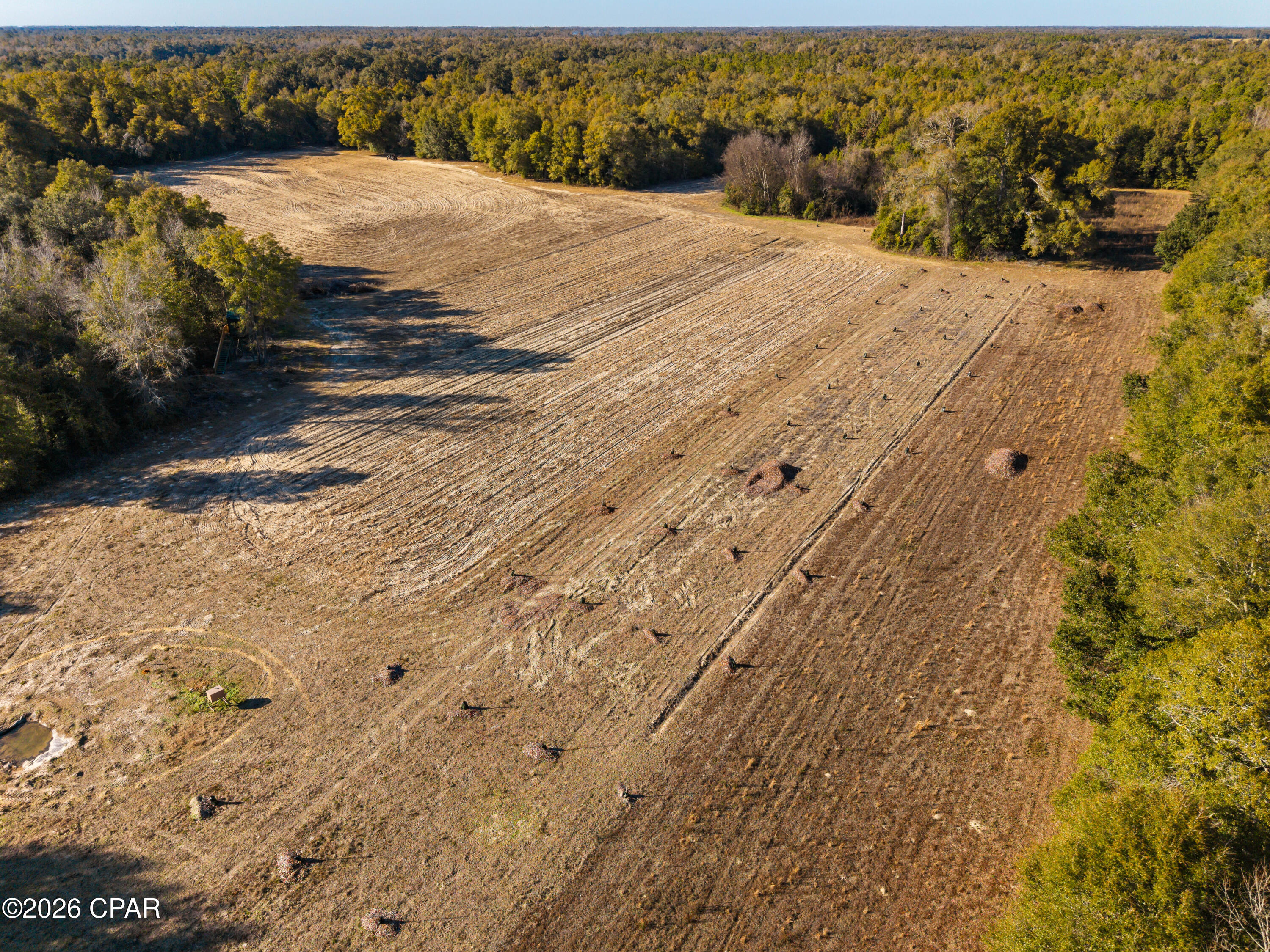 Image 44 For 00 Sylvania Plantation Road
