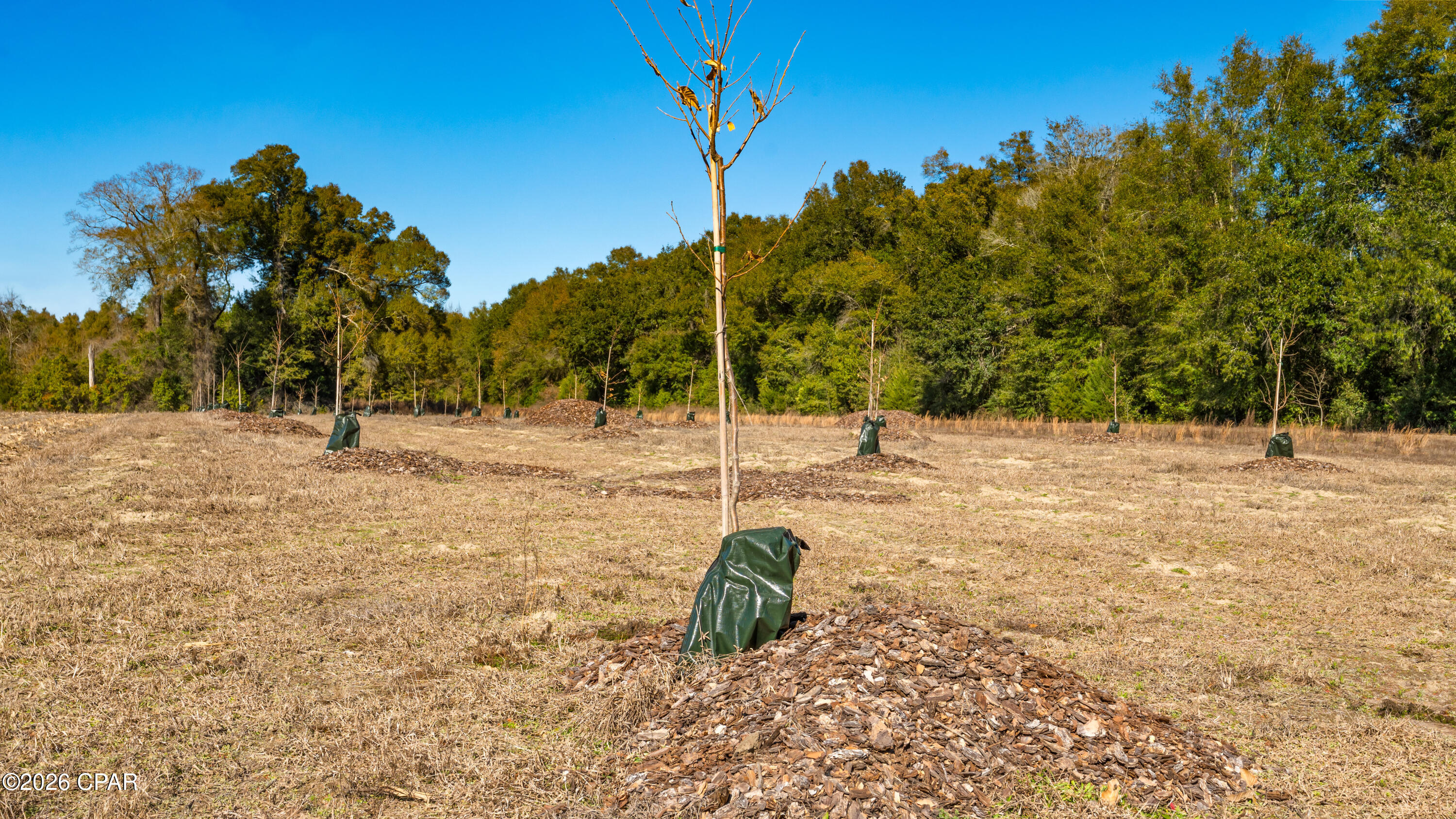 Image 45 For 00 Sylvania Plantation Road