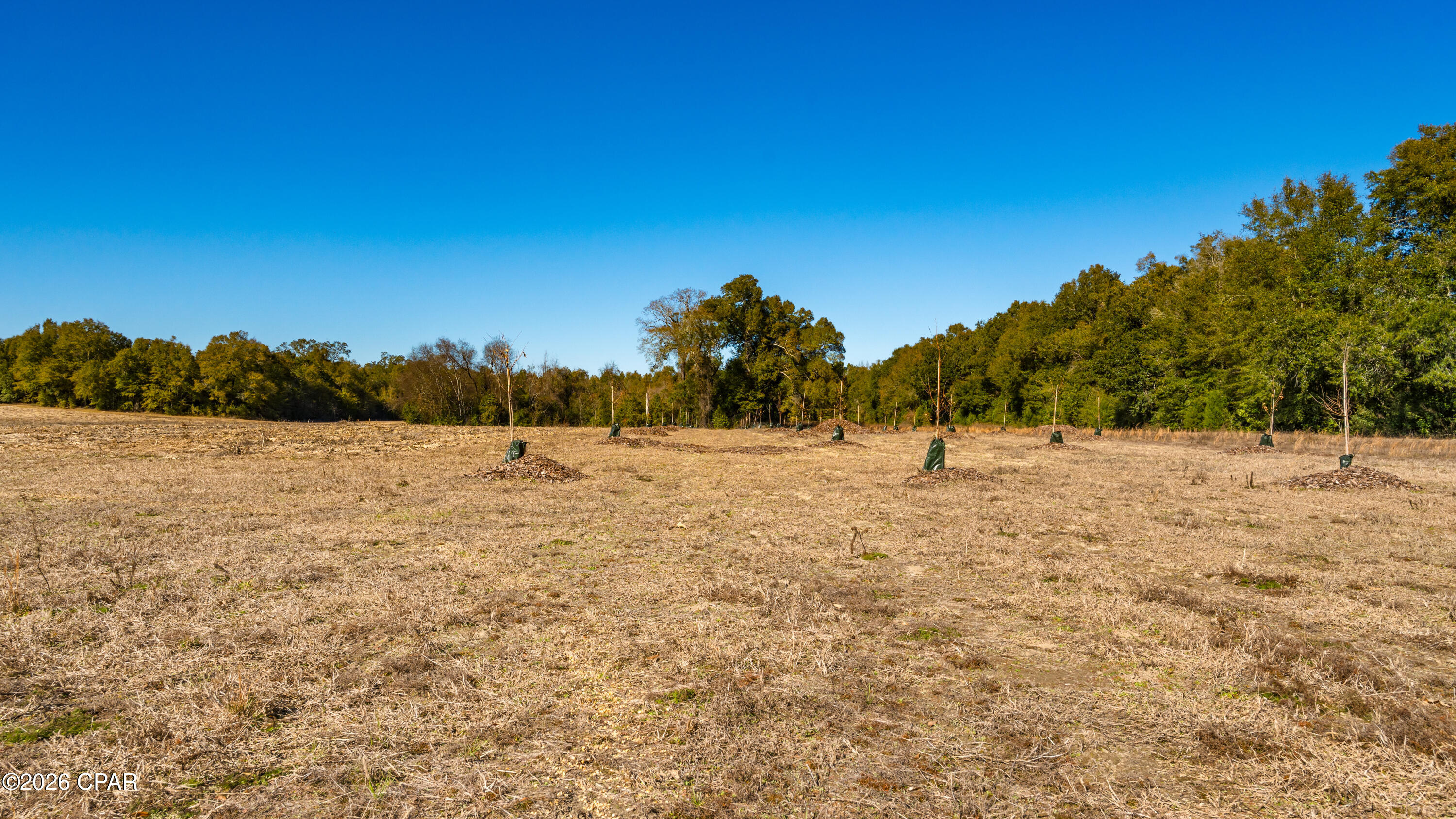 Image 46 For 00 Sylvania Plantation Road