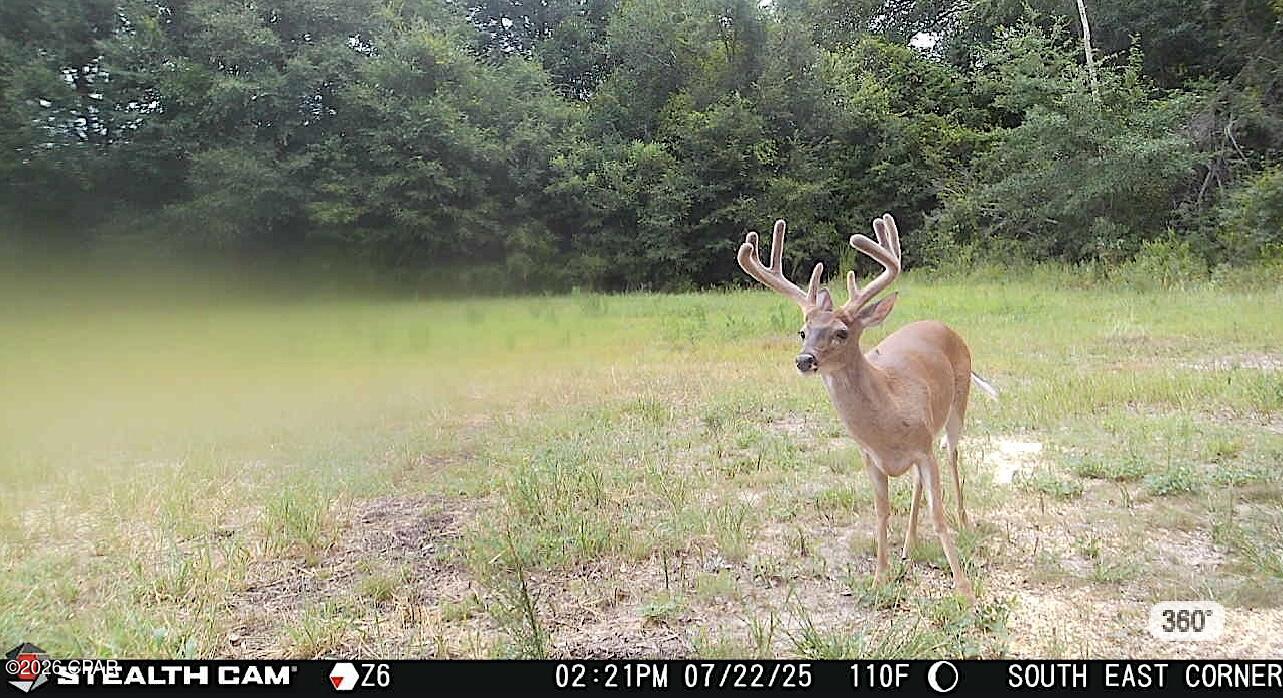 Image 52 For 00 Sylvania Plantation Road