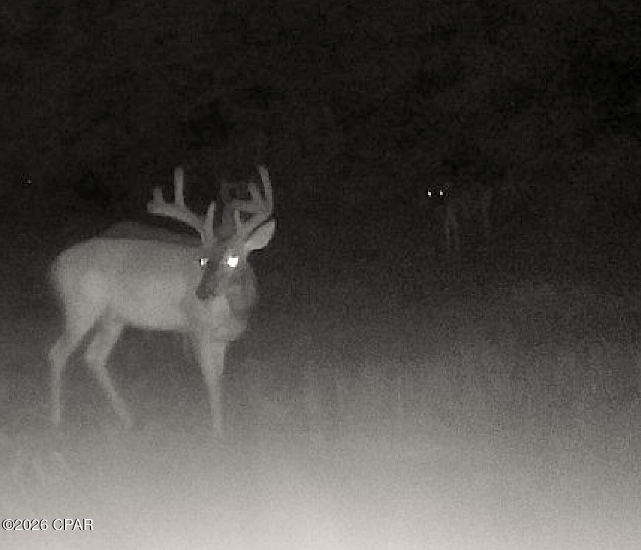 Image 54 For 00 Sylvania Plantation Road