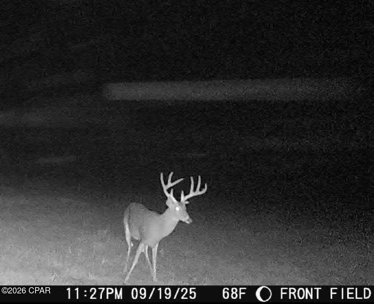 Image 55 For 00 Sylvania Plantation Road