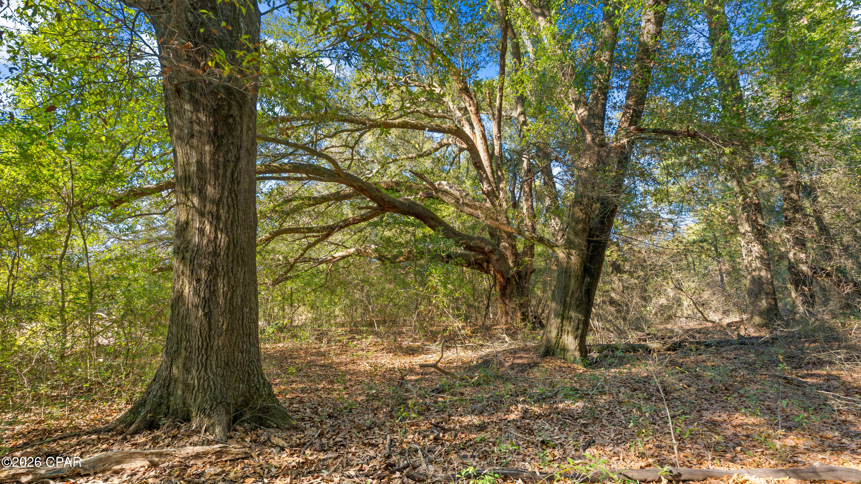 Image 59 For 00 Sylvania Plantation Road